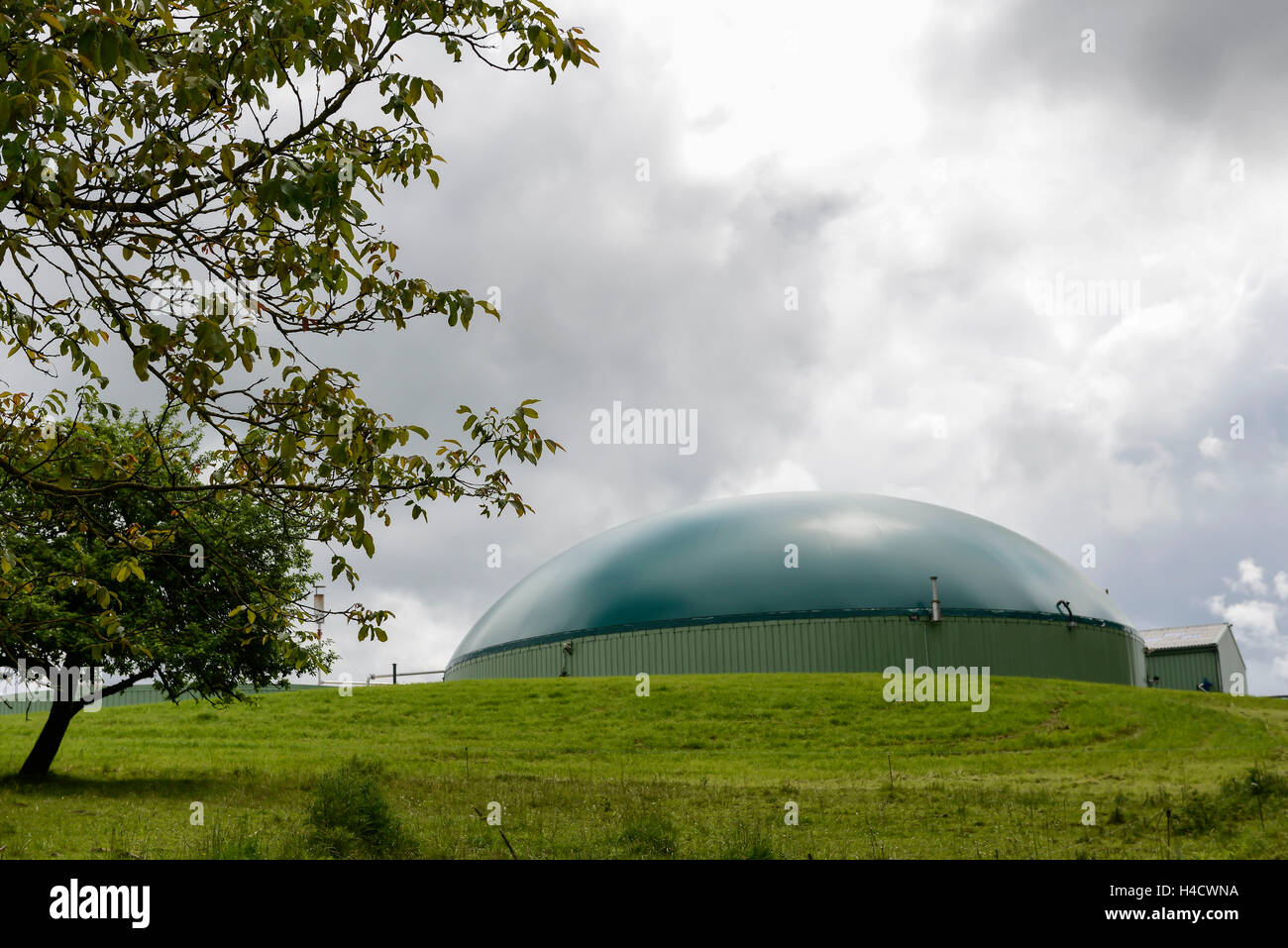 Rexingen, Alsazia, Francia, impianto di produzione di biogas Foto Stock