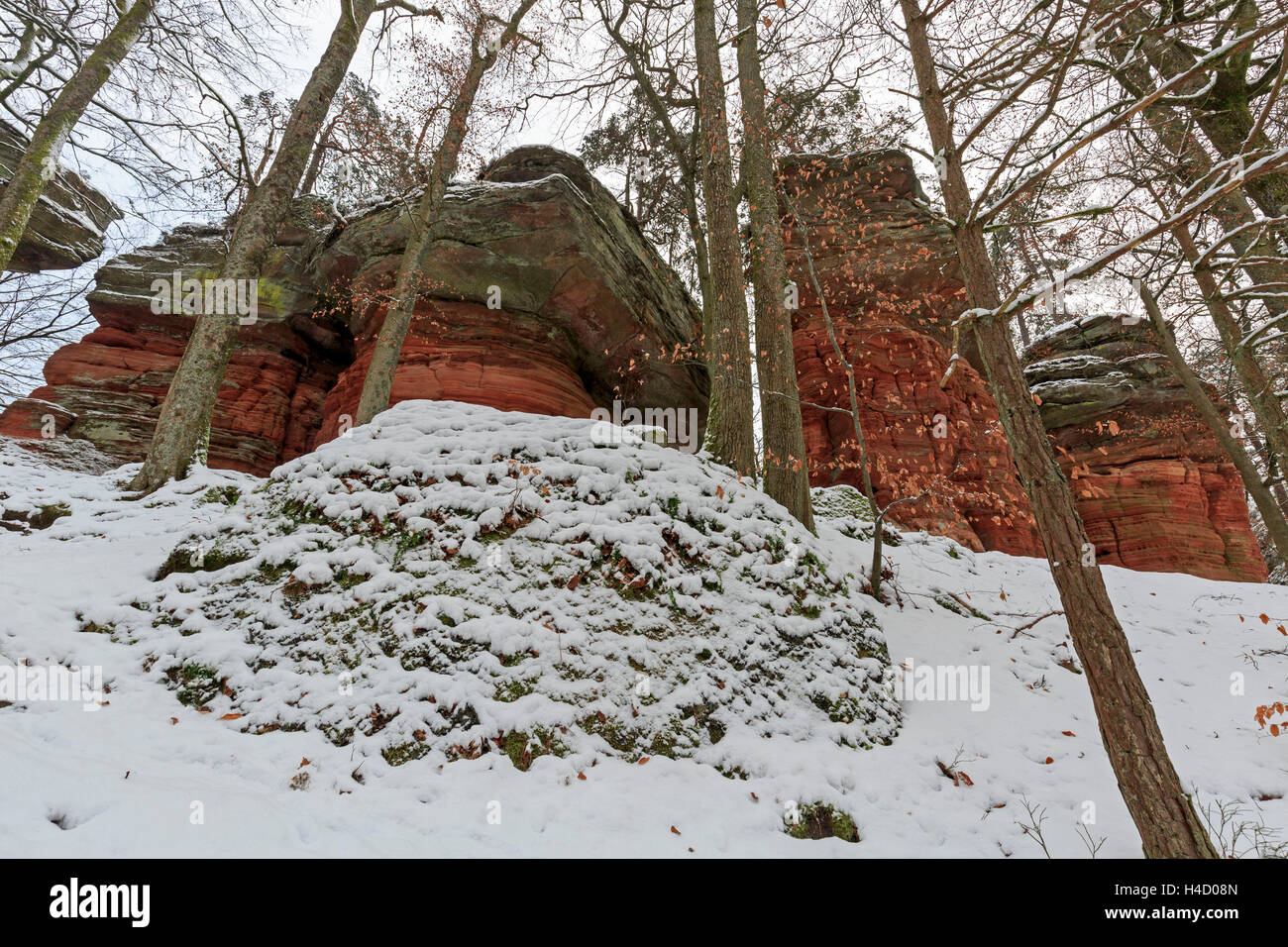 Monumento Naturale, inverno, 'Altschlossfelsen' (vecchio castello rocce), Foresta del Palatinato, Eppenbrunn, Rhinland Palatinato, Germania Foto Stock