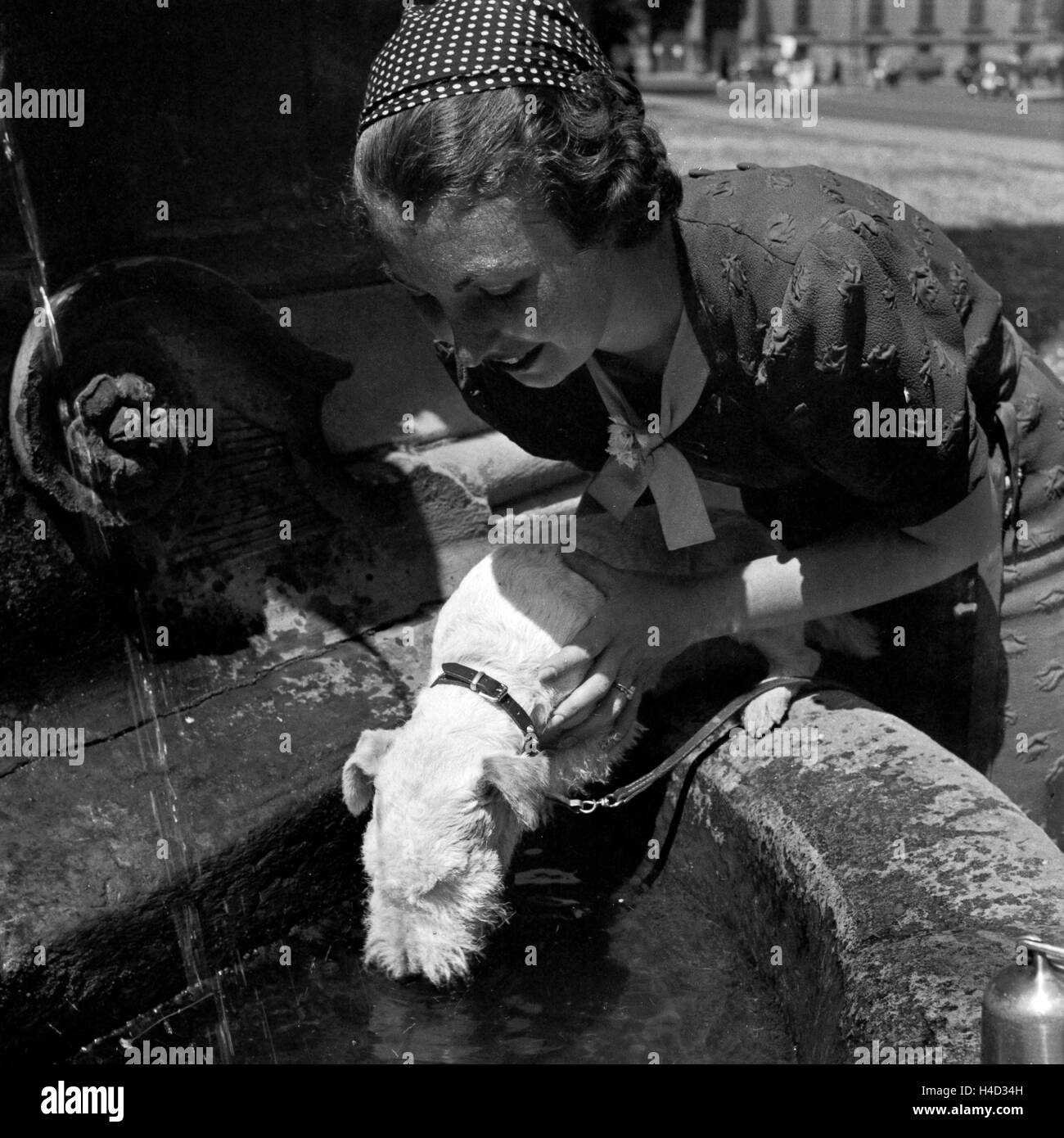 Eine Frau hebt ihren Foxterrier zum Trinken un einen Brunnen, Deutschland 1930er Jahre. Una donna sollevando il suo fox terrier per bere da un pozzo, Germania 1930s. Foto Stock