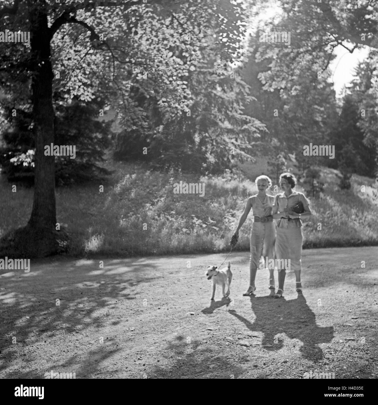 Zwei Frauen spazieren Mit einem Foxterrier durch einen Park a Bad Cannstatt, Deutschland 1930er Jahre. Due donne passeggiate con il cane in un giardino pubblico a Bad Cannstatt, Germania 1930s. Foto Stock