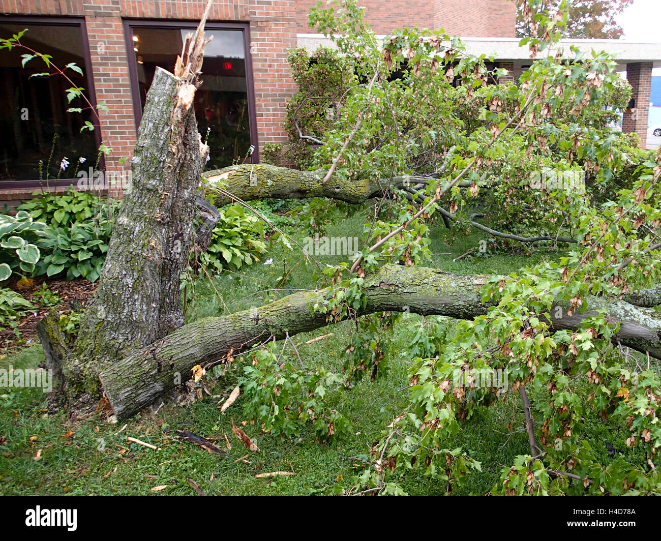 Thunder storm e un tornado causano un albero delle proprietà danneggiate Foto Stock
