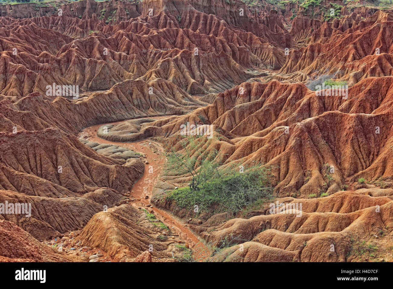 Repubblica della Colombia, Tatacoa desert, scenario nel dipartimento di Huila, Desierto de la Tatacoa Foto Stock