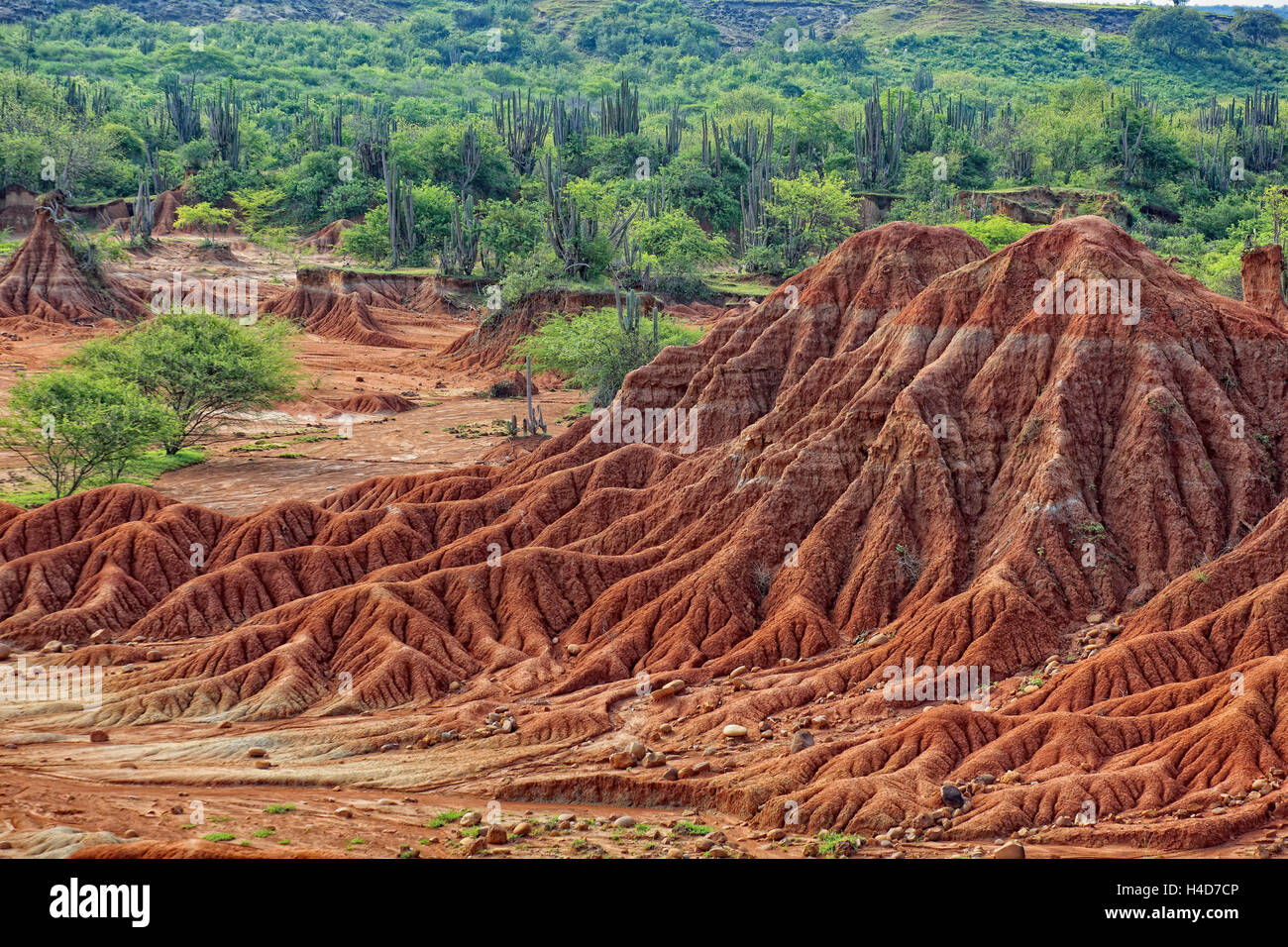 Repubblica della Colombia, Tatacoa desert, scenario nel dipartimento di Huila, Desierto de la Tatacoa Foto Stock