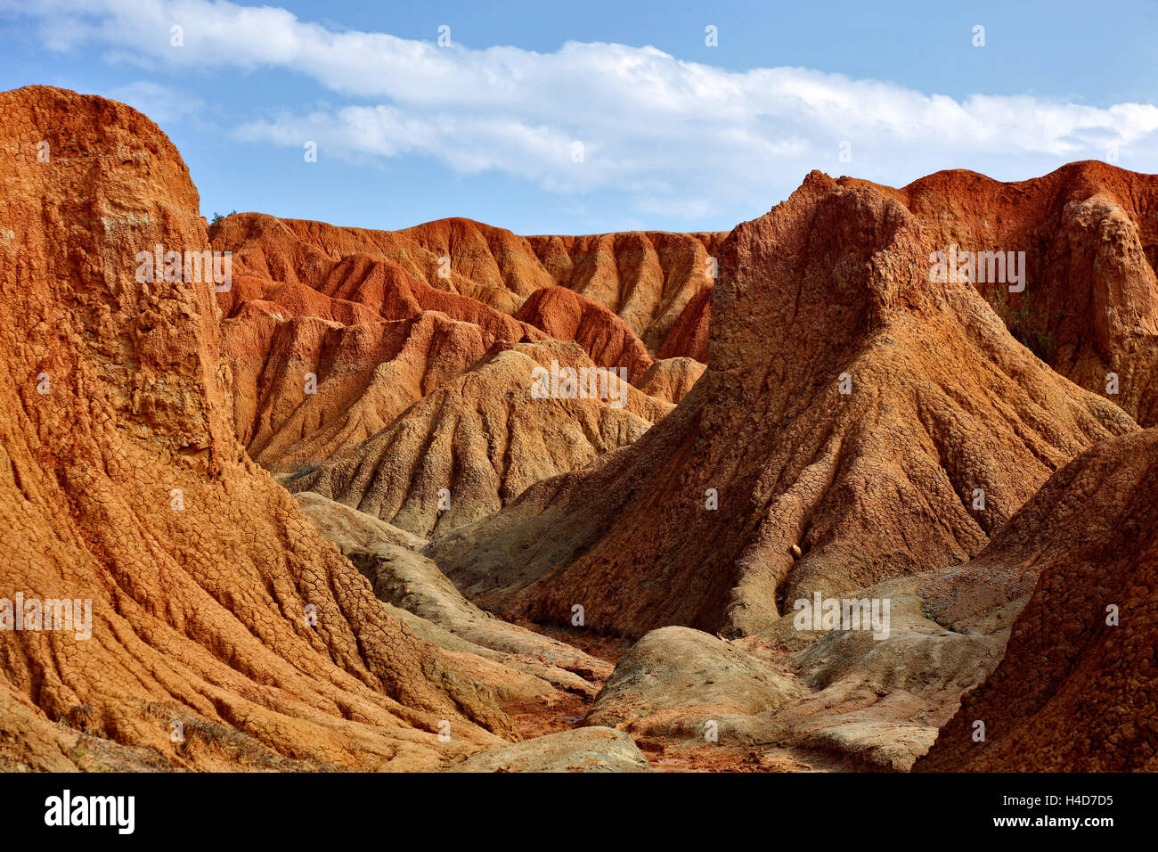 Repubblica della Colombia, Tatacoa desert, scenario nel dipartimento di Huila, Desierto de la Tatacoa Foto Stock