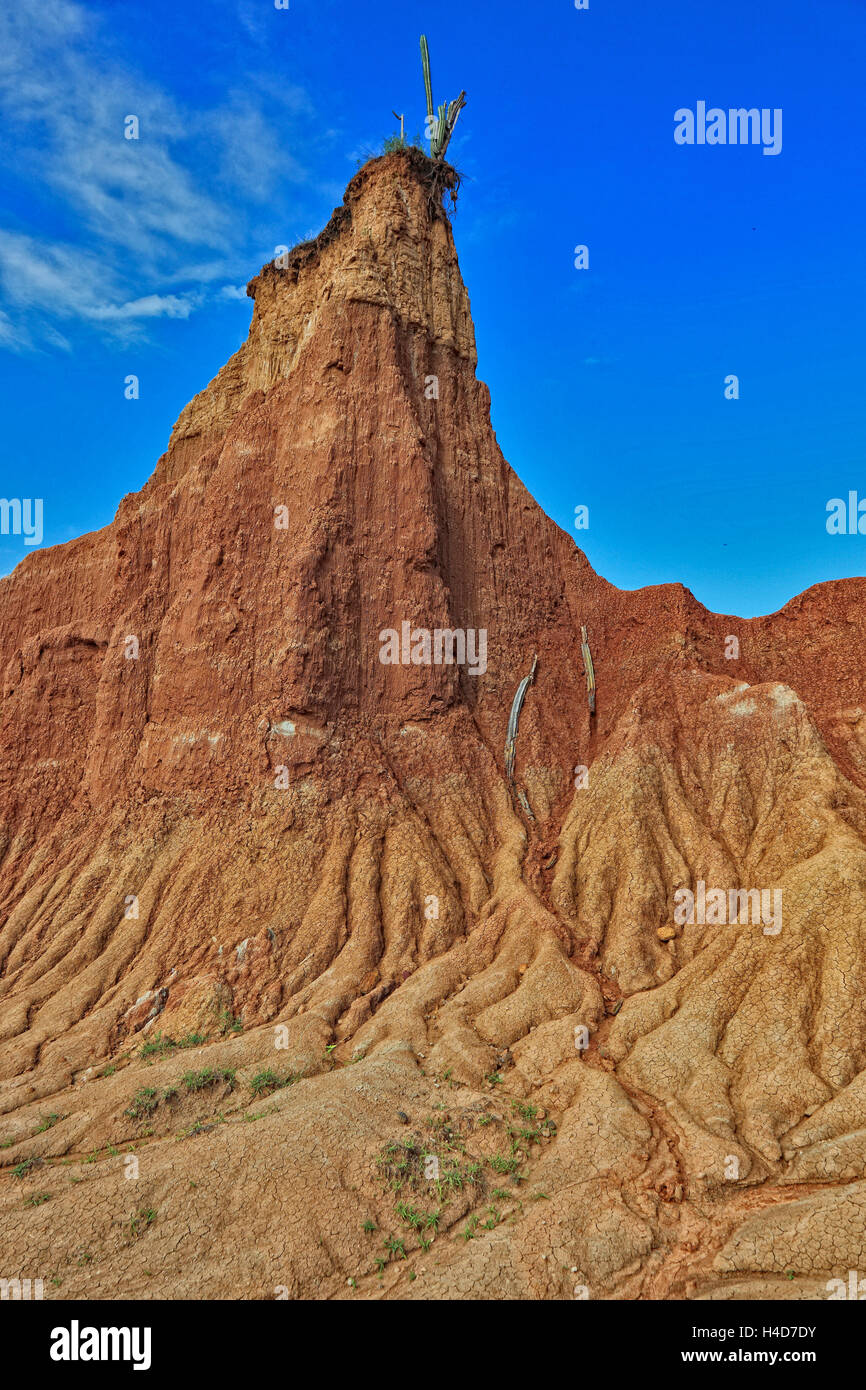 Repubblica della Colombia, Tatacoa desert, scenario nel dipartimento di Huila, Desierto de la Tatacoa Foto Stock