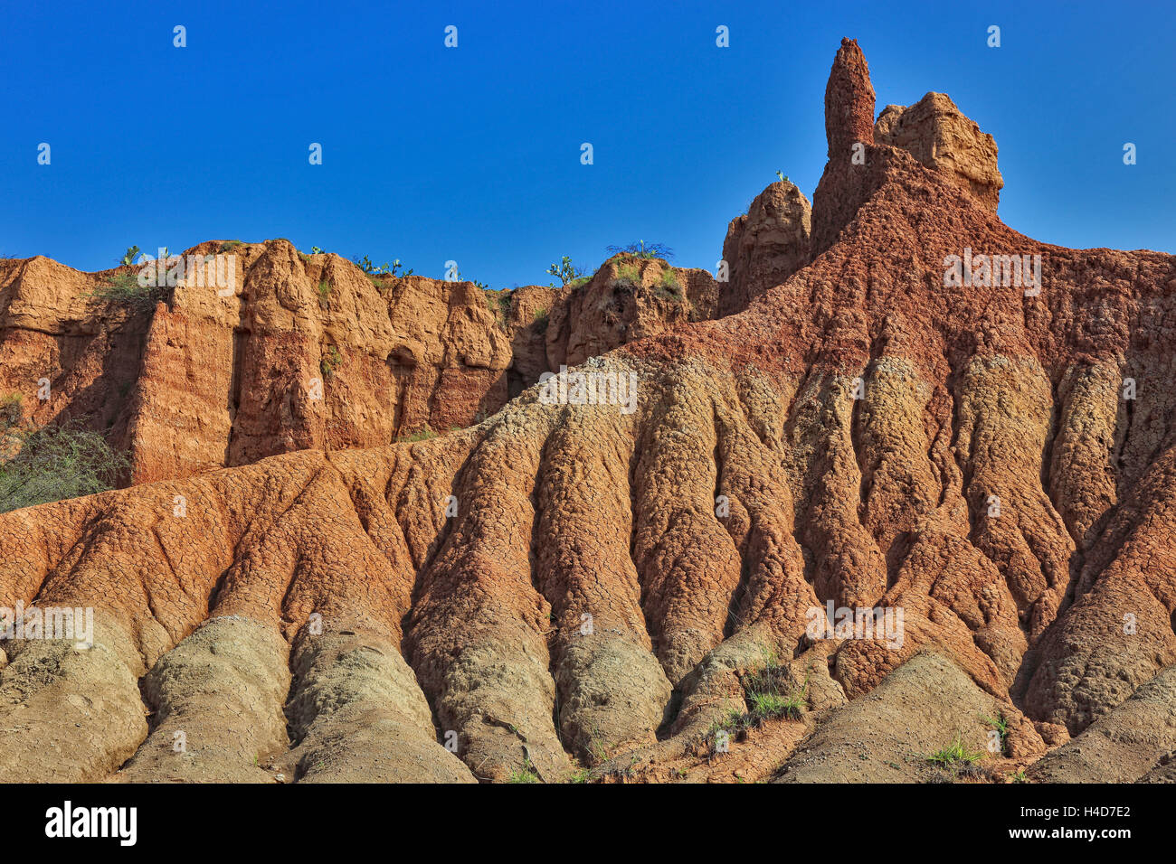 Repubblica della Colombia, Tatacoa desert, scenario nel dipartimento di Huila, Desierto de la Tatacoa Foto Stock
