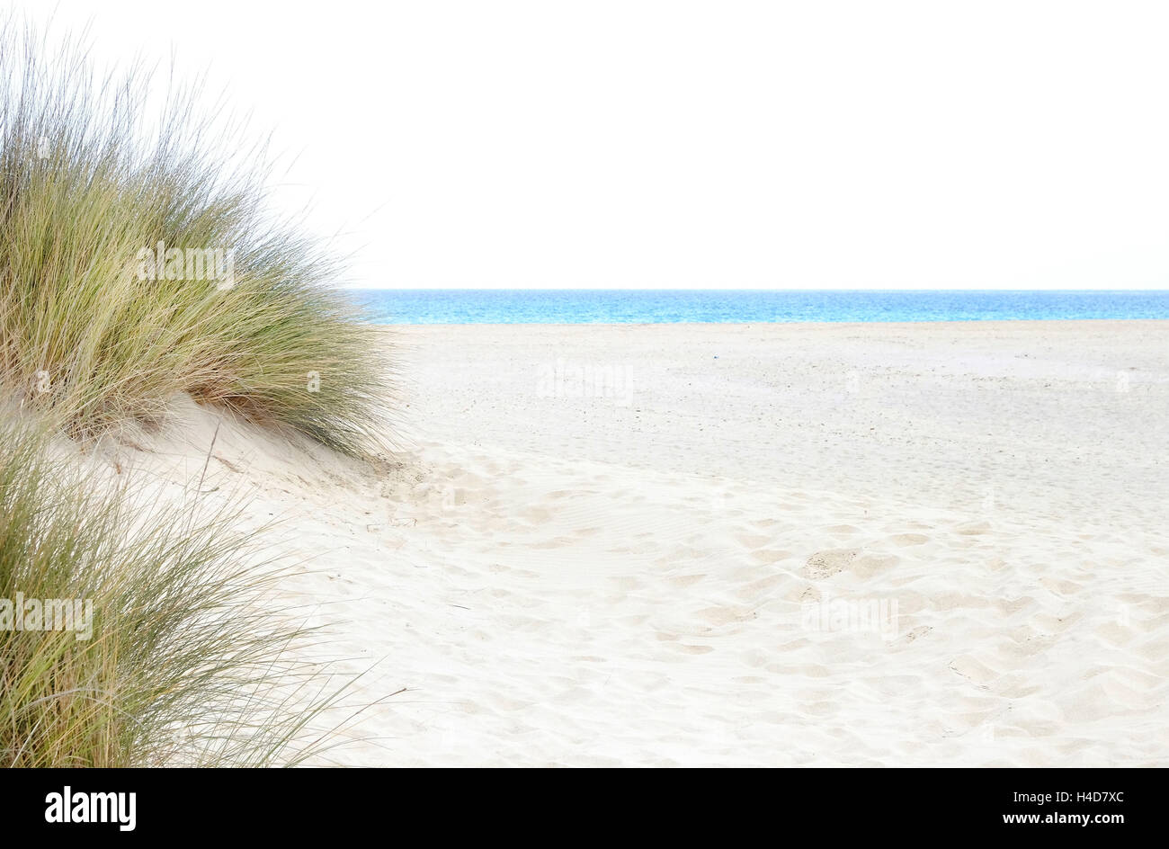 Spiaggia, dune, erba, natura, paesaggi, mare, Maiorca, Foto Stock