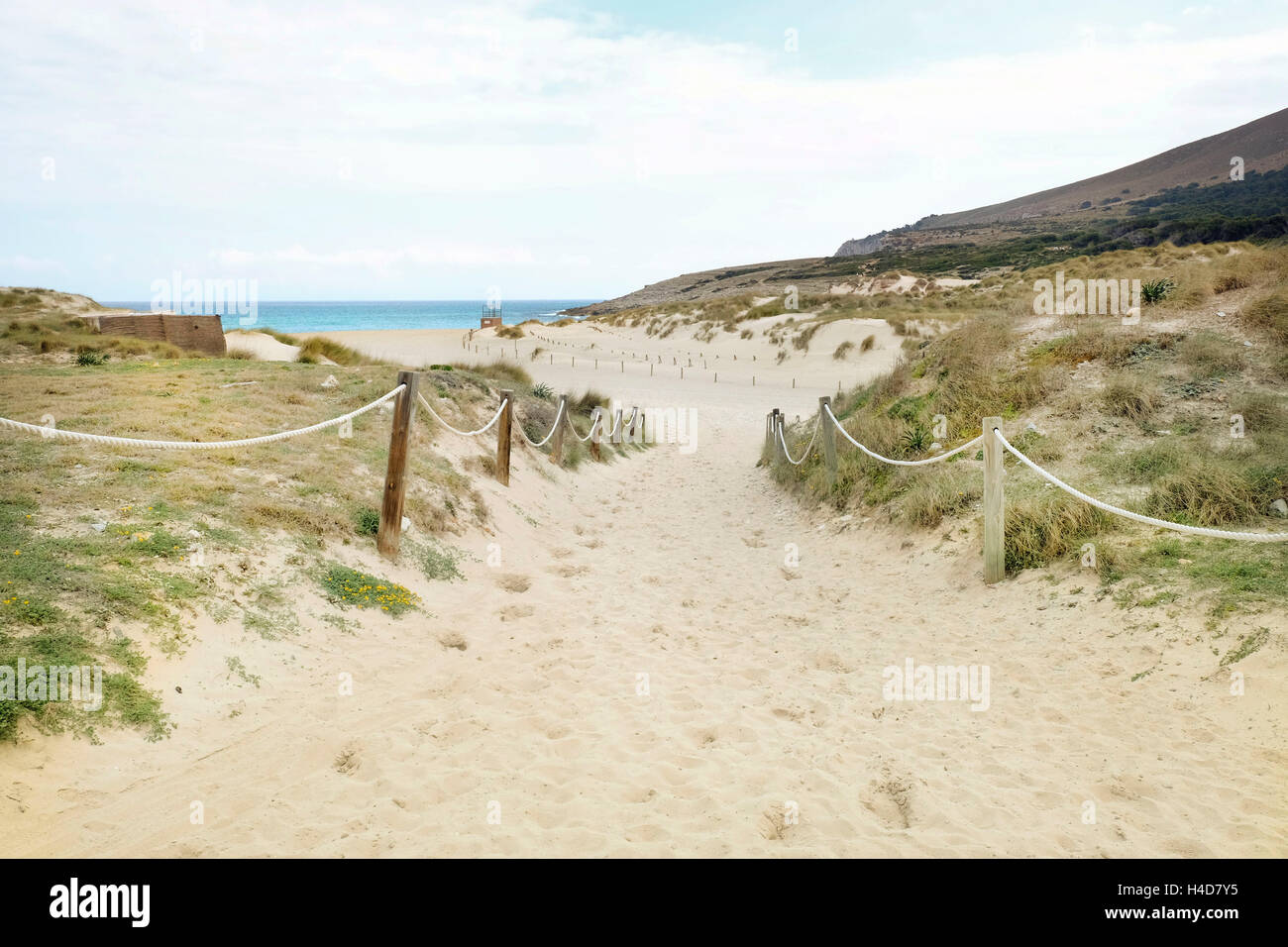 Spiaggia, dune, spiaggia, Foto Stock Spiaggia, dune, spiaggia, Foto Stock