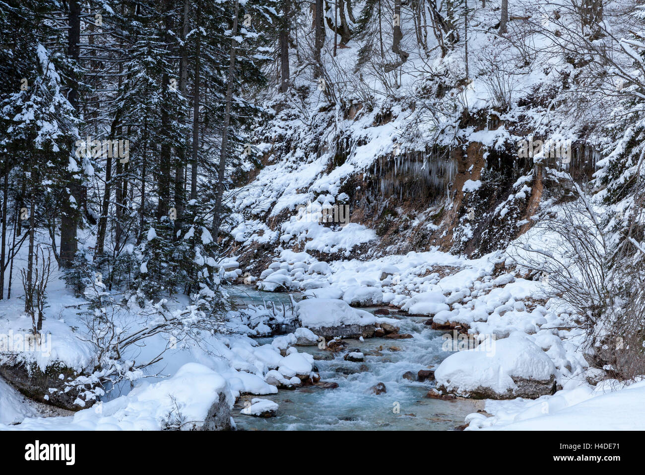 Inverno nella valle di Vrata Foto Stock