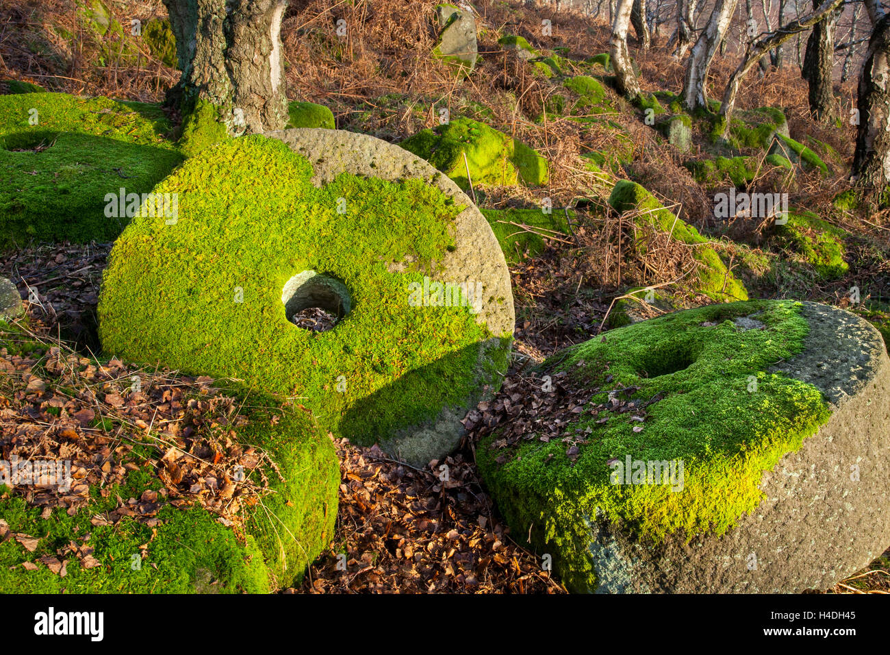 Hathersage. Scolpito, cesellato rotondo, ruota di mulino abbandonata, vecchio, rurale, antica macina. Mill Stones nel Peak District National Park, Derbyshire, Regno Unito Foto Stock