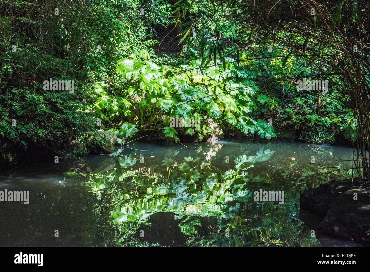 L'acqua la riflessione Yorkshire Ray Boswell Foto Stock