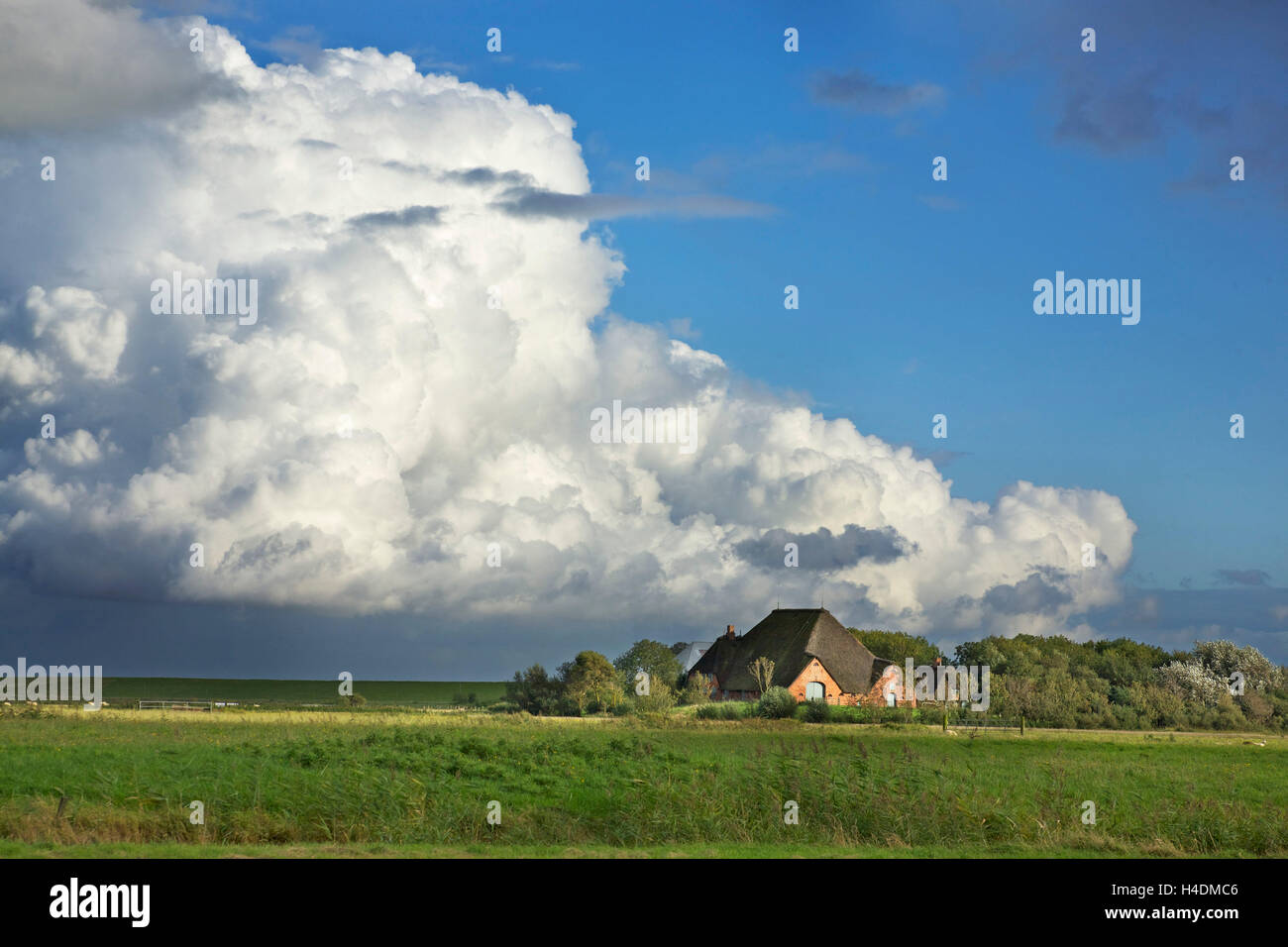 Il Cumulus gigantesche nubi (Cumulus) circa il Rose Court con Westerhever sulla penisola di Eiderstedt, Foto Stock