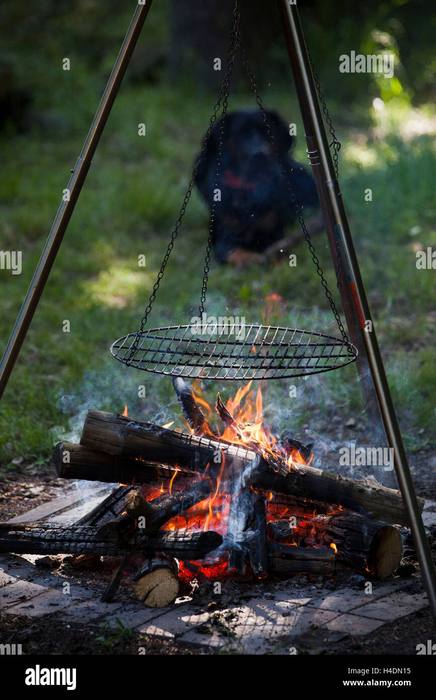 Giardino, camino, pan grill, cane, giacciono, blur Foto Stock