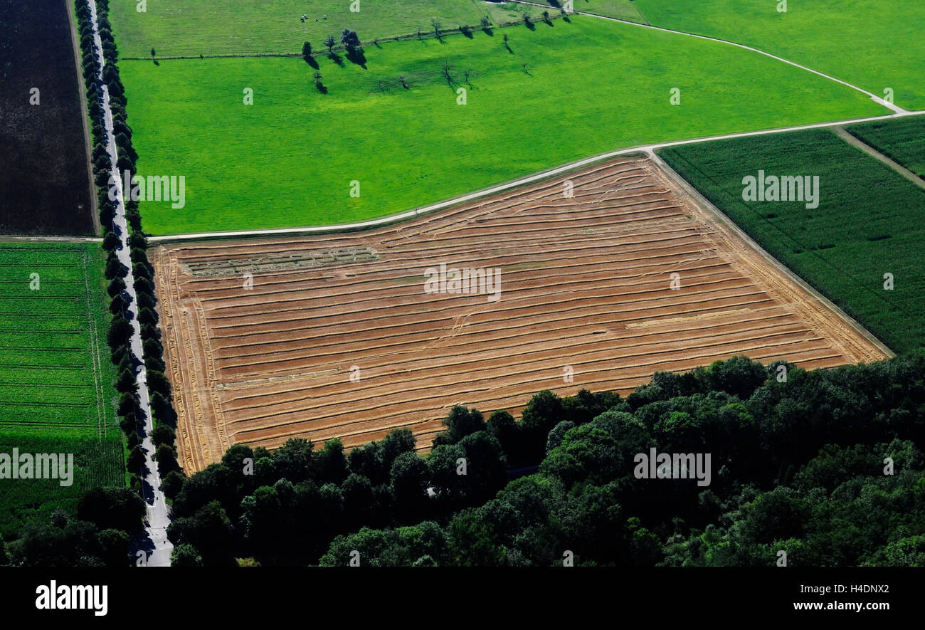 Fotografia aerea, Stuttgart-Hohenheim superfici agraria Università di alta home Foto Stock