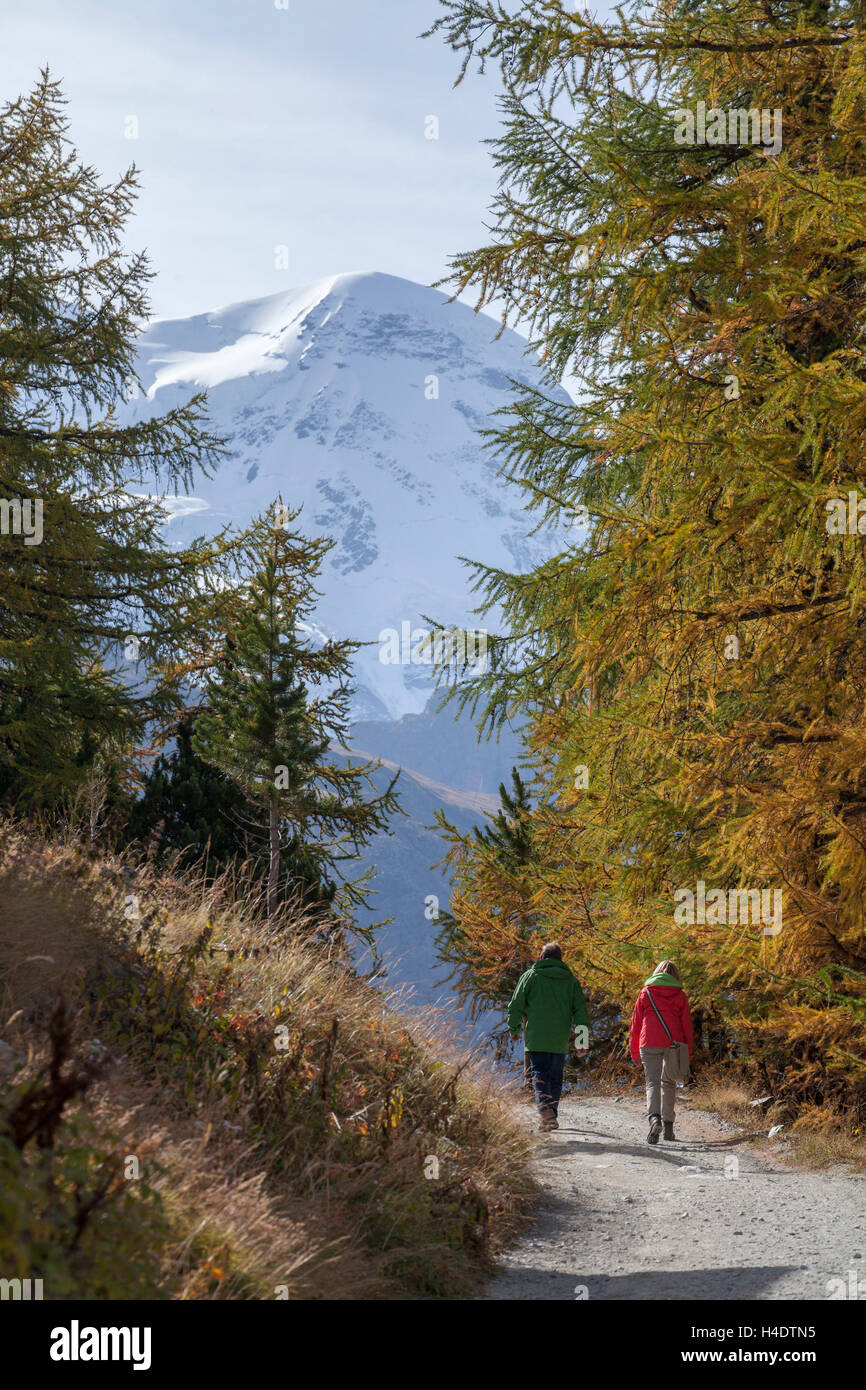 Sentiero con ampia tromba, cerio-debolmente, Svizzera Foto Stock