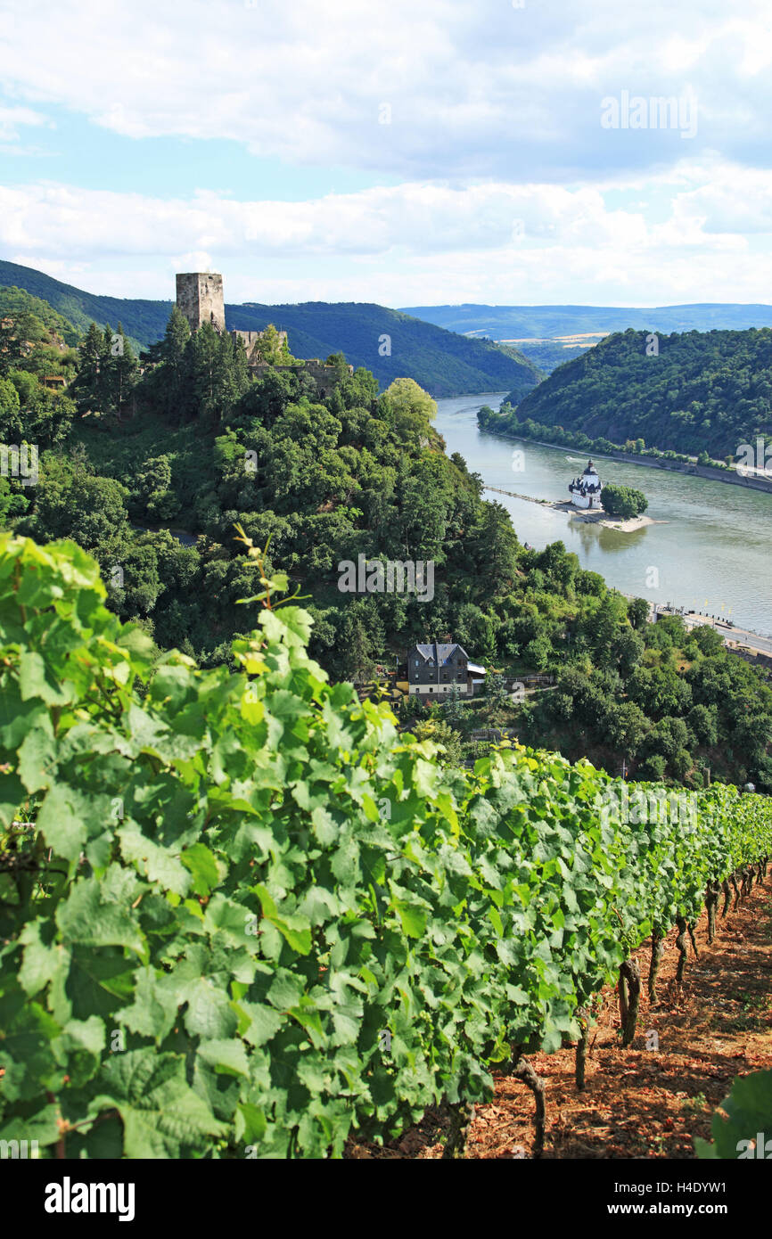 In Germania, in Renania Palatinato, Valle del Reno, Kaub, buona bile Castello, Patrimonio Mondiale dell UNESCO Foto Stock