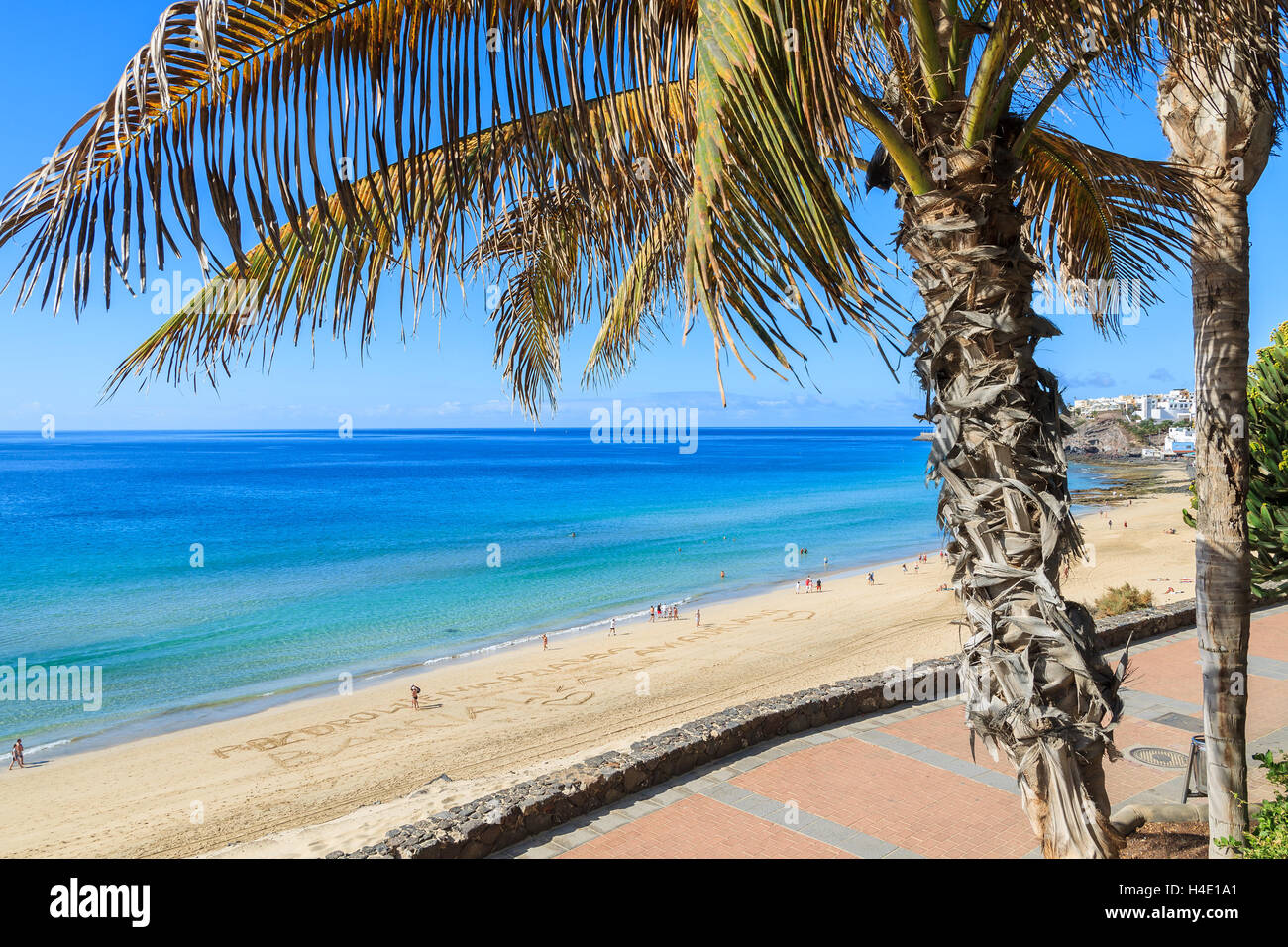 Raccordo a T di Palm e il lungomare su Morro Jable Beach sulla costa della penisola di Jandia, Fuerteventura, Isole Canarie, Spagna Foto Stock