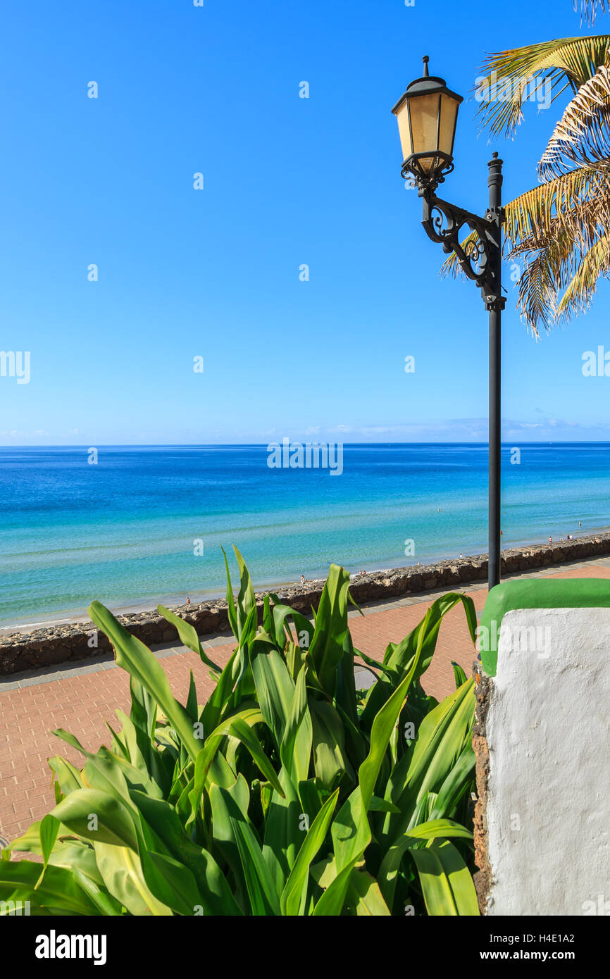 Vista oceano e piante tropicali su Morro Jable sulla spiaggia di Jandia peninsula, Fuerteventura, Isole Canarie, Spagna Foto Stock