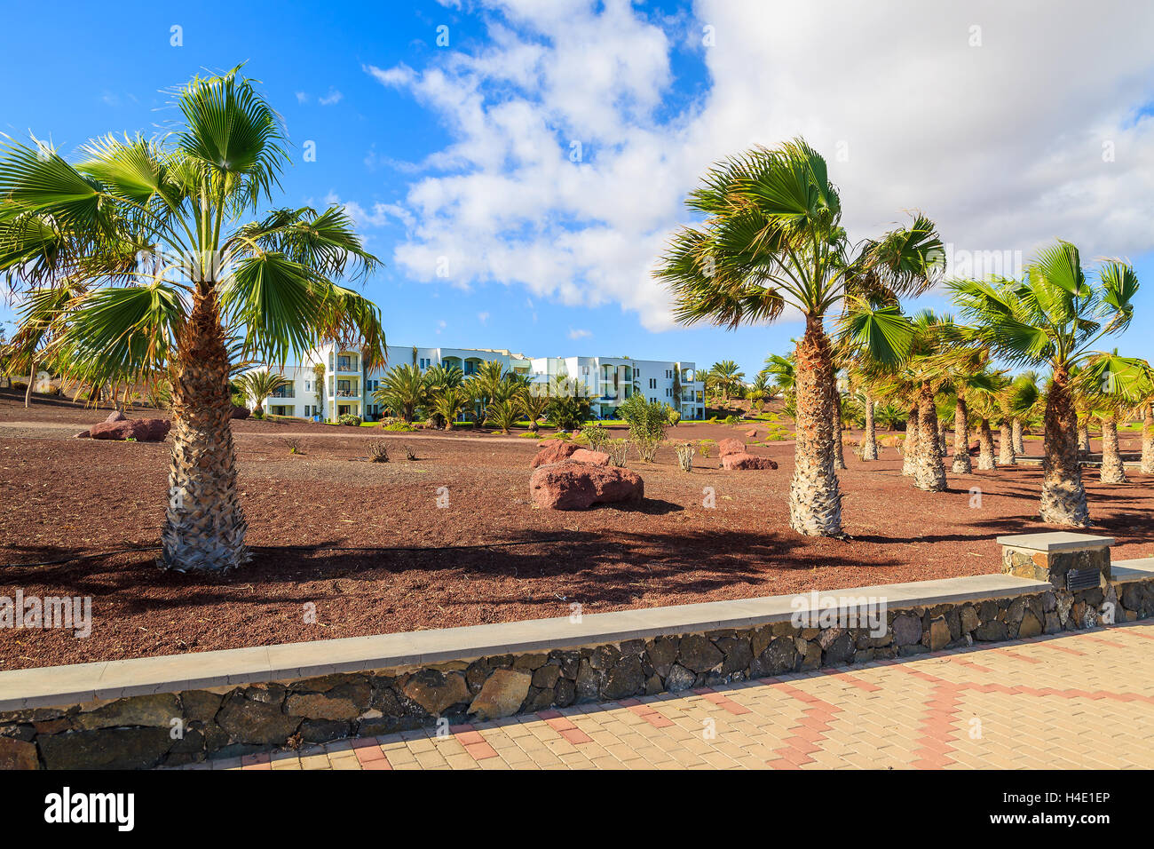 Passeggiata costiera con le palme in Las Playitas village, Fuerteventura, Isole Canarie, Spagna Foto Stock