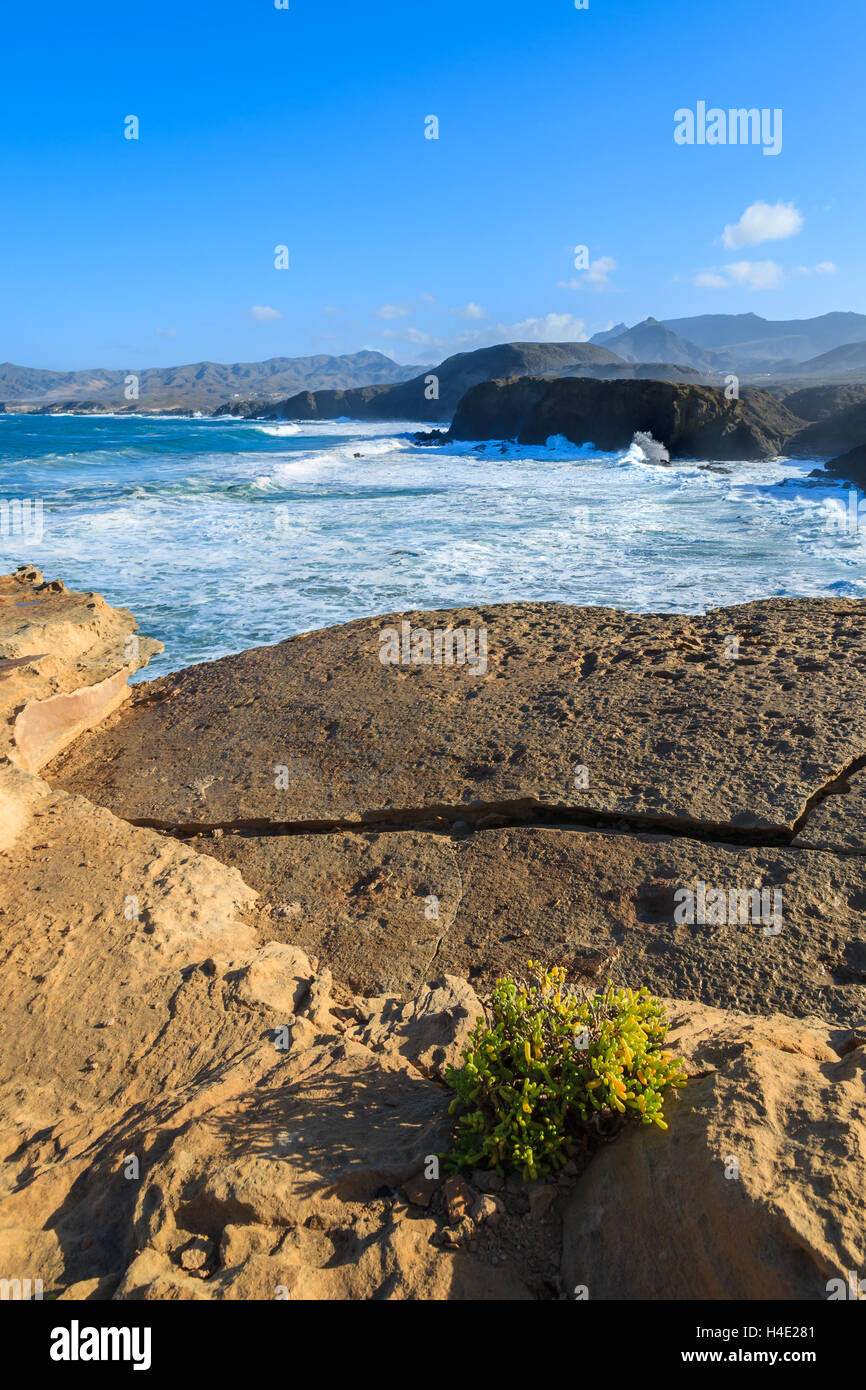 Rocce e oceano onda su La Pared Beach sulla costa occidentale di Fuerteventura, Isole Canarie, Spagna Foto Stock