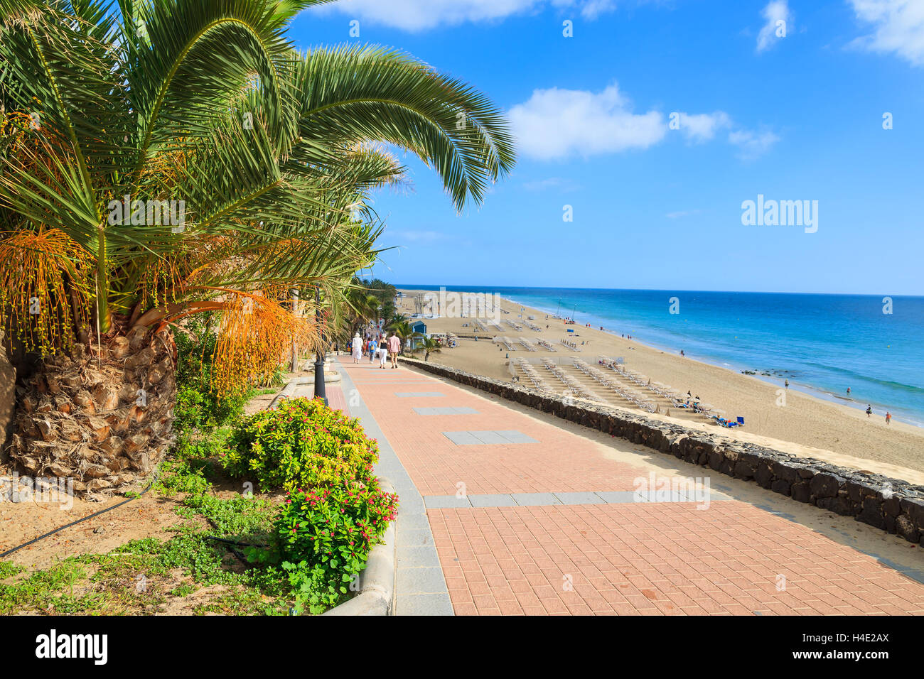 Passeggiata con piante tropicali e fiori lungo una spiaggia di Morro Jable holiday village, Fuerteventura, Isole Canarie, Spagna Foto Stock