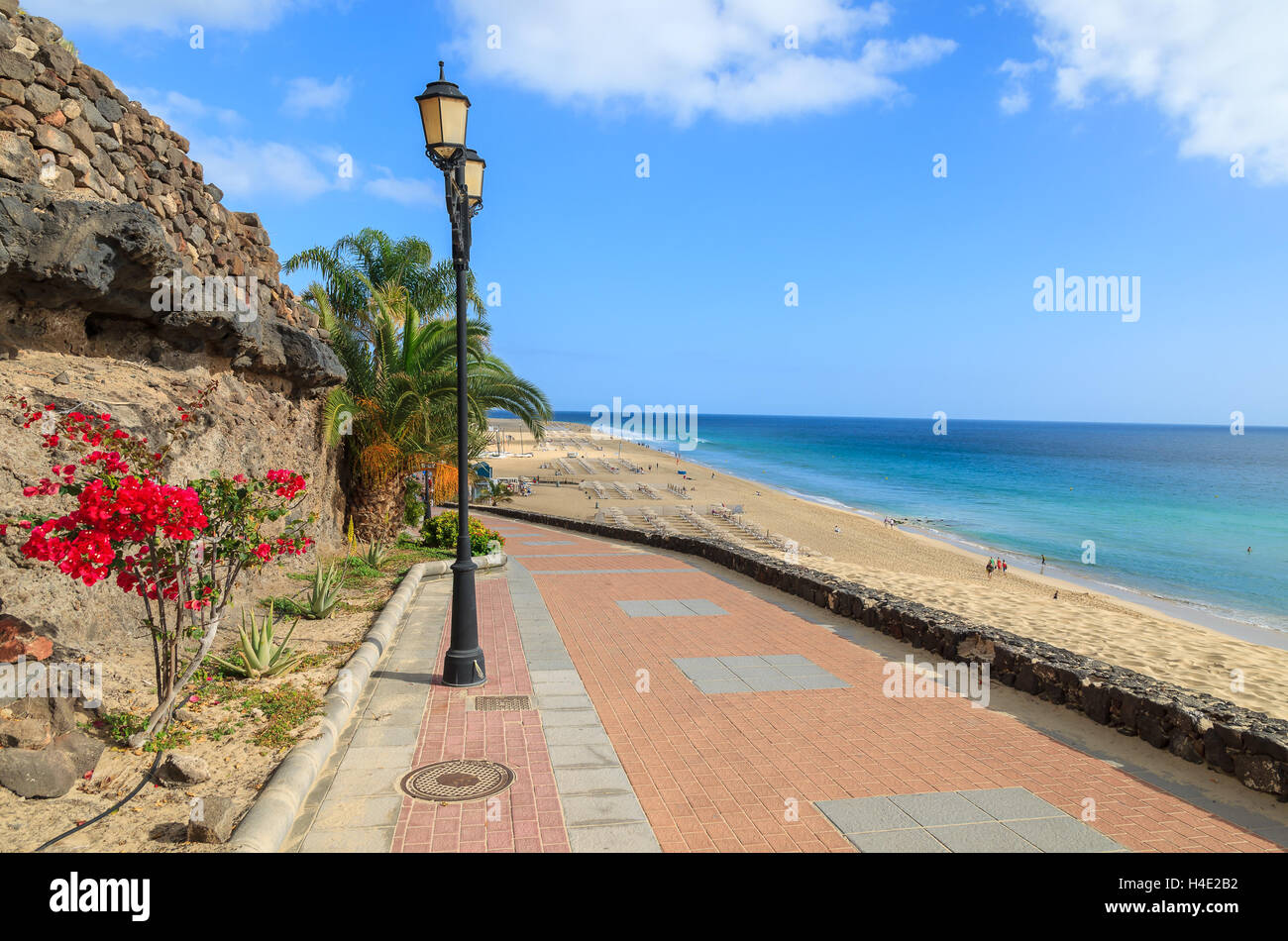 Passeggiata con piante tropicali e fiori lungo una spiaggia di Morro Jable holiday village, Fuerteventura, Isole Canarie, Spagna Foto Stock