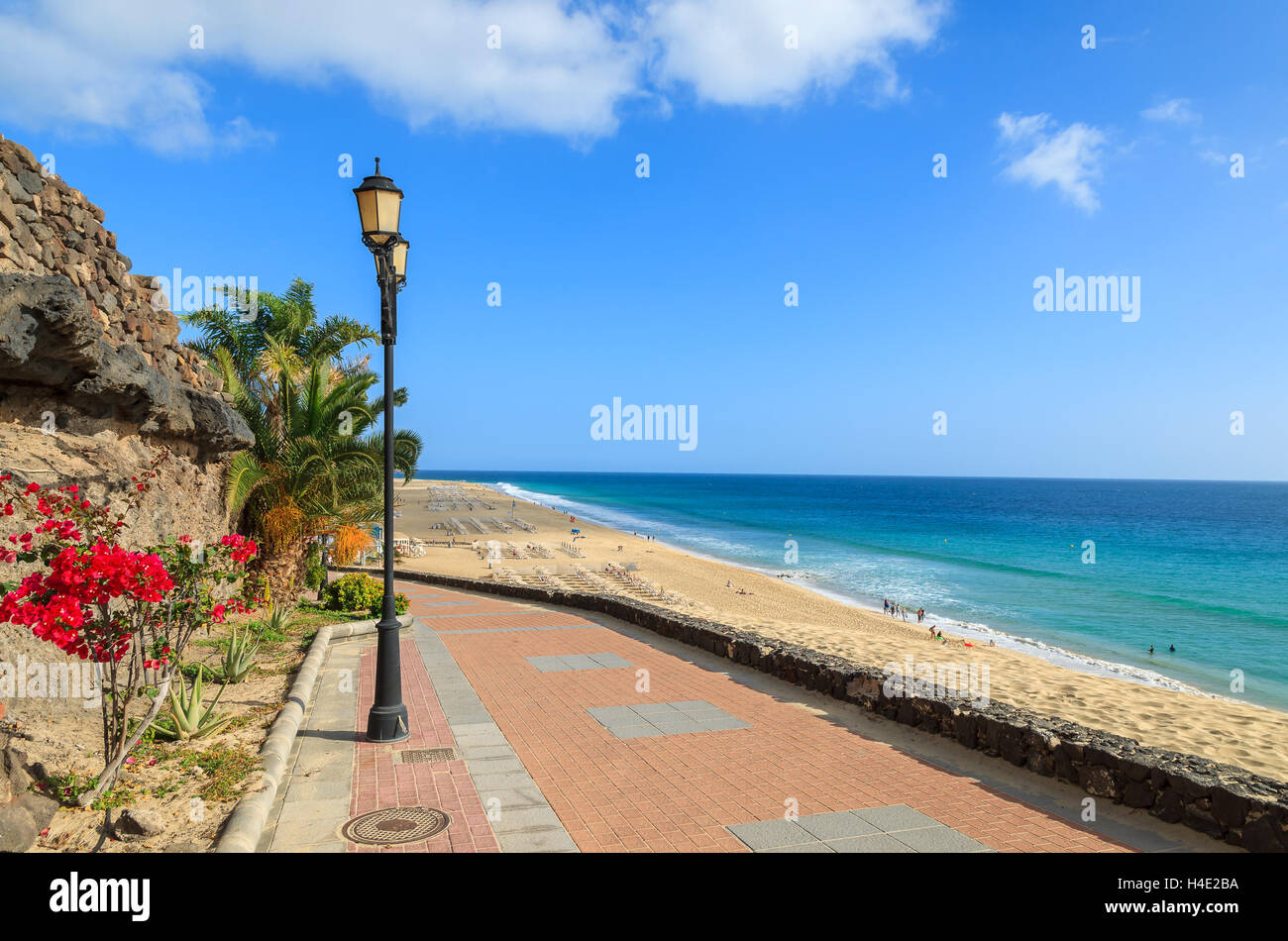 Fiori tropicali sulla passeggiata lungo la spiaggia di Jandia a Morro Jable con vista oceano, Fuerteventura, Isole Canarie, Spagna Foto Stock