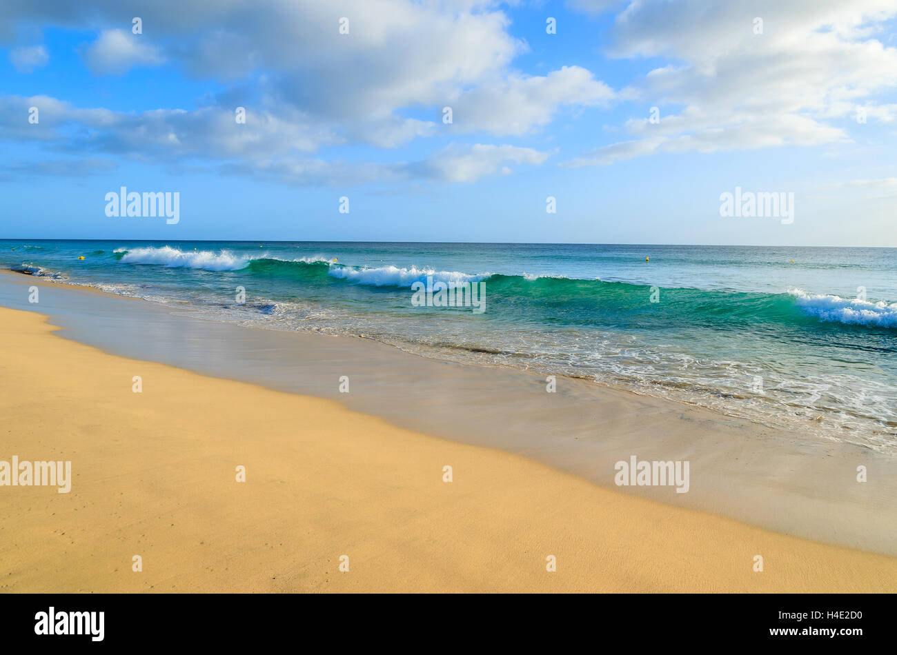 Onde oceaniche e la spiaggia di sabbia dorata sulla Penisola di Jandia, Morro Jable Fuerteventura Isole Canarie, Spagna Foto Stock