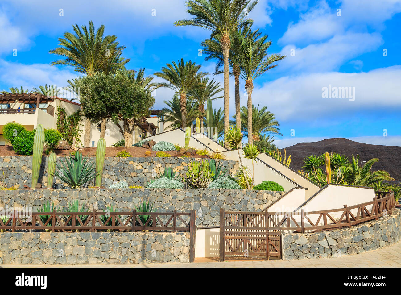 Le palme in vacanza villa complesso lungo una strada a Morro Jable town, isola di Fuerteventura, Spagna Foto Stock