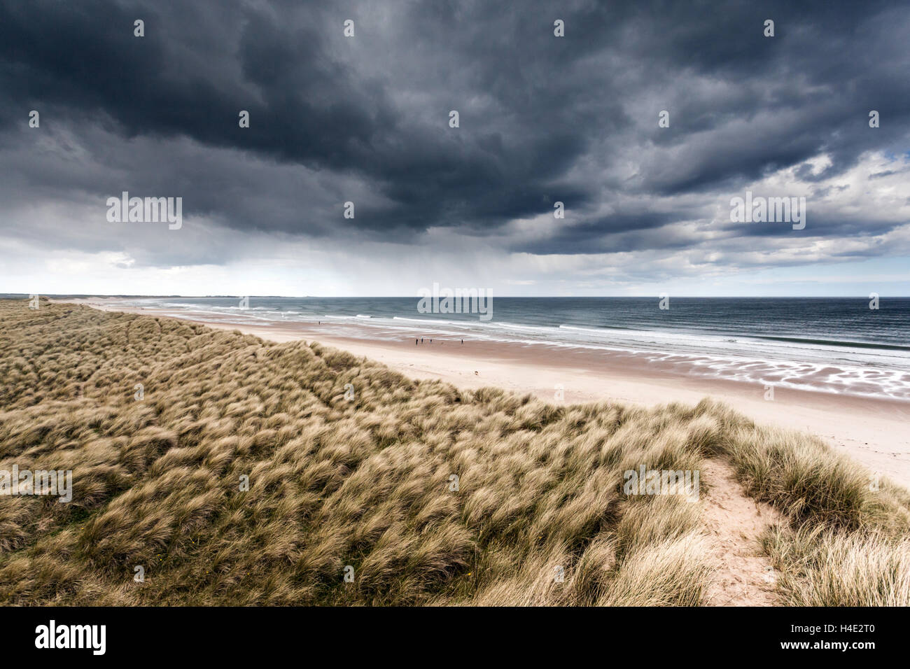 Tempesta davanti avvicinando le dune di sabbia lungo la costa di Druridge Bay, Northumberland Foto Stock