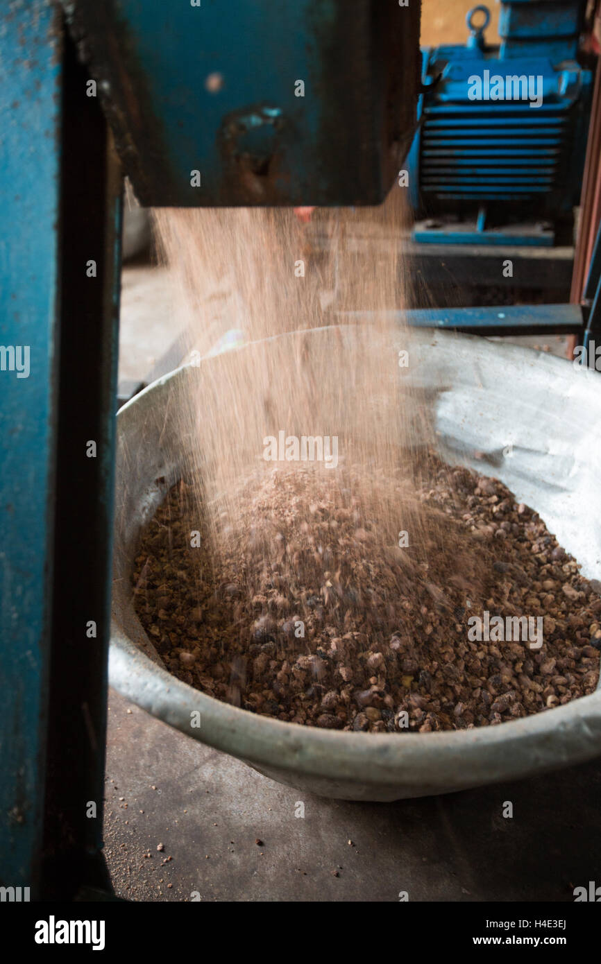 Processo di dipendenti di noci di karité in burro di karitè ad un commercio equo impianto di produzione in Réo, Burkina Faso, Africa occidentale. Foto Stock