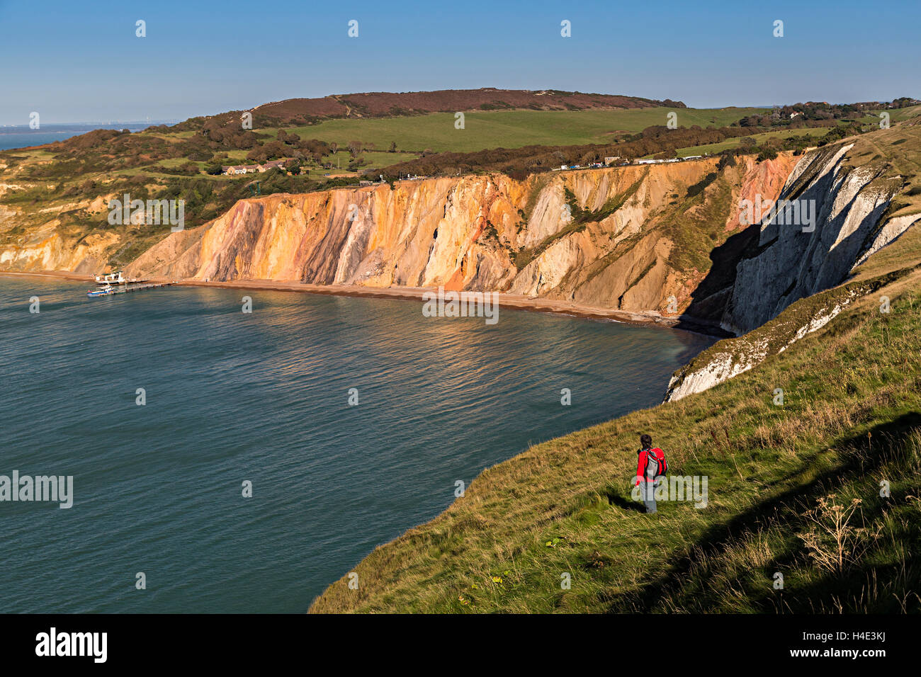 Escursionista presso cliff edge, allume Bay, Isle of Wight, Regno Unito Foto Stock