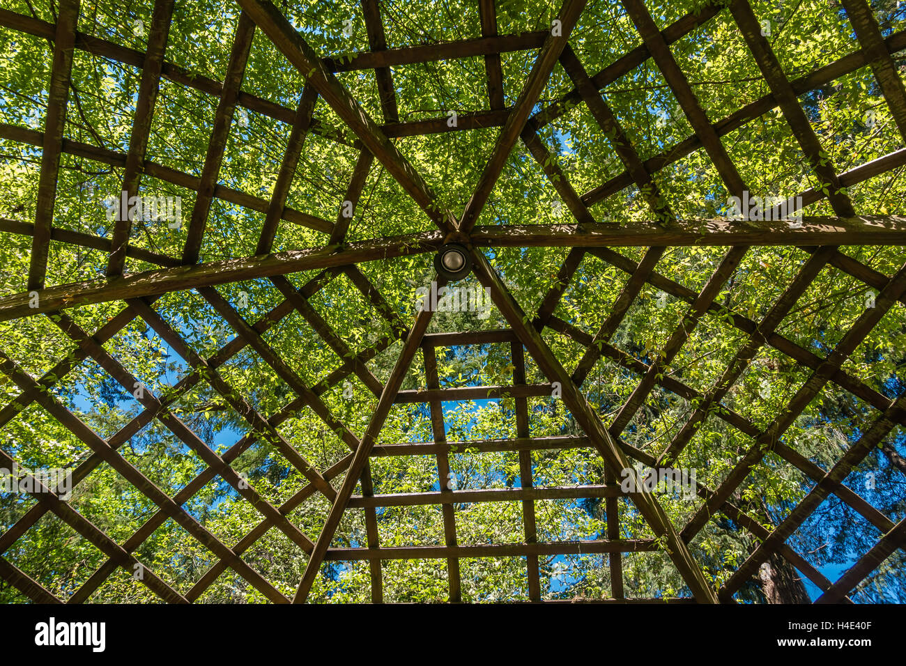 Una vista da sotto di un grande gazebo in legno. Patterns emergere. Foto Stock Una vista da sotto di un grande gazebo in legno. Patterns emergere. Foto Stock