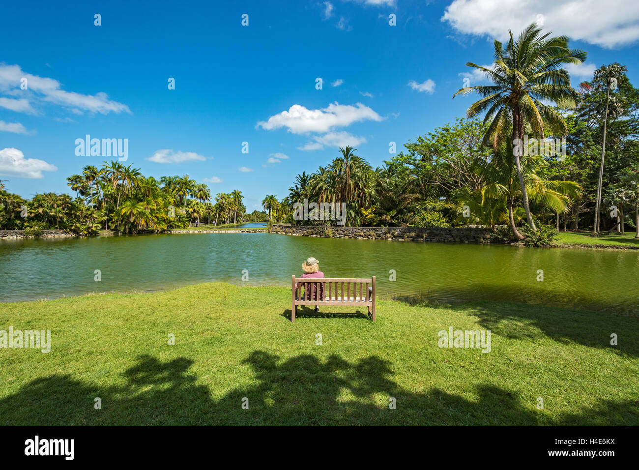 Florida, Coral Gables, Fairchild Tropical Botanic Garden, Glade Lago Foto Stock