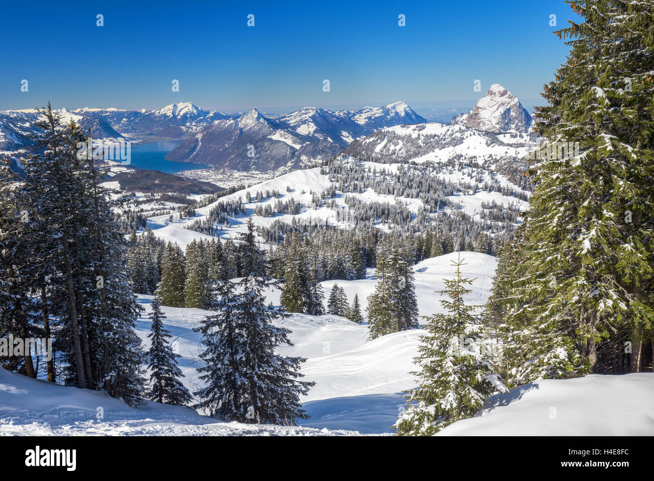 Alpi svizzere coperti dalla nuova neve visto da Hoch-Ybrig ski resort, la Svizzera centrale Foto Stock