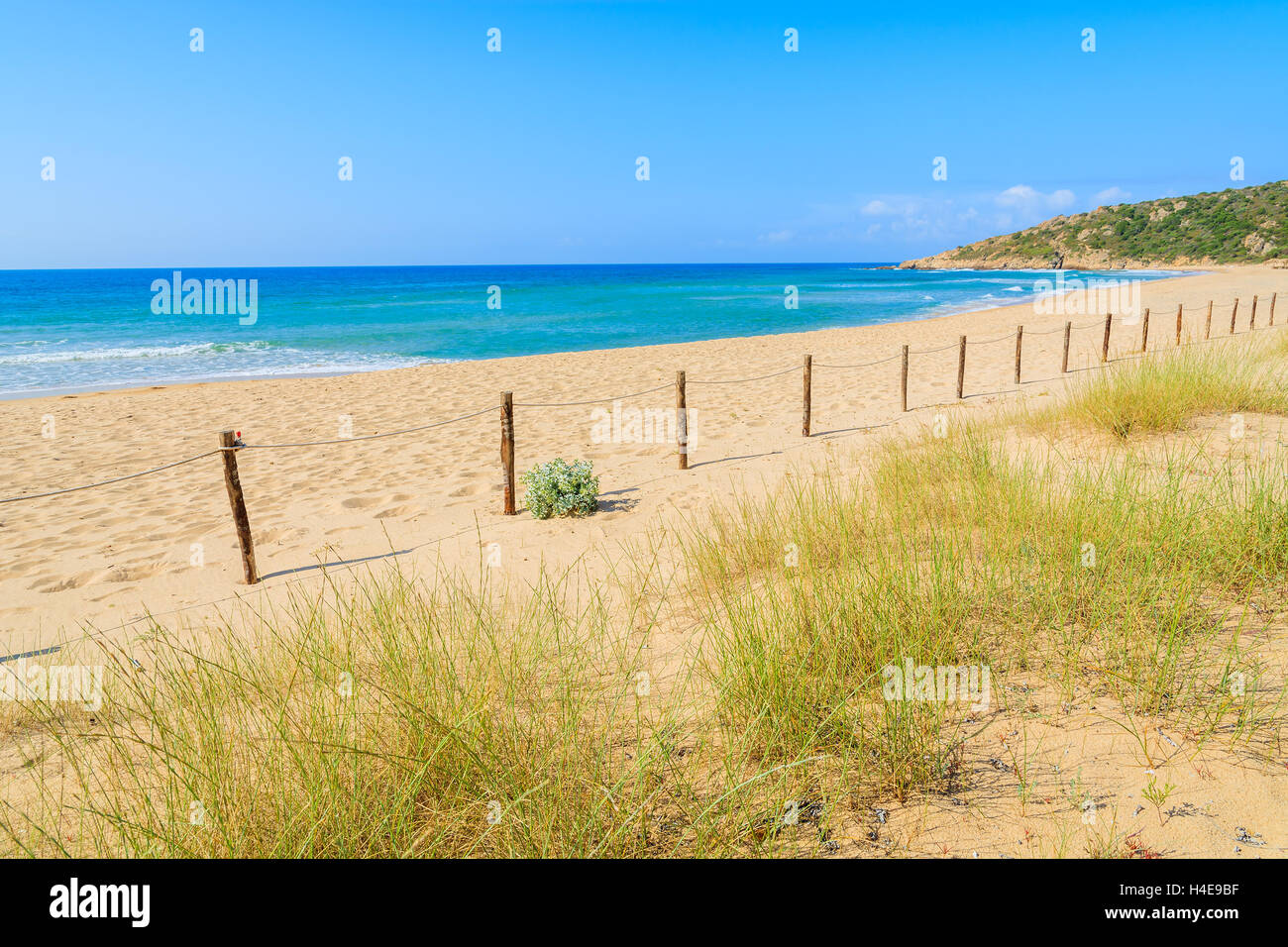 Erba sulle dune di sabbia e la bellissima spiaggia di Chia Sardegna, Italia Foto Stock