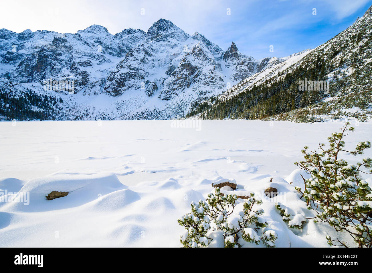 Neve fresca sui congelati Morskie Oko lago in inverno, Monti Tatra, Polonia Foto Stock