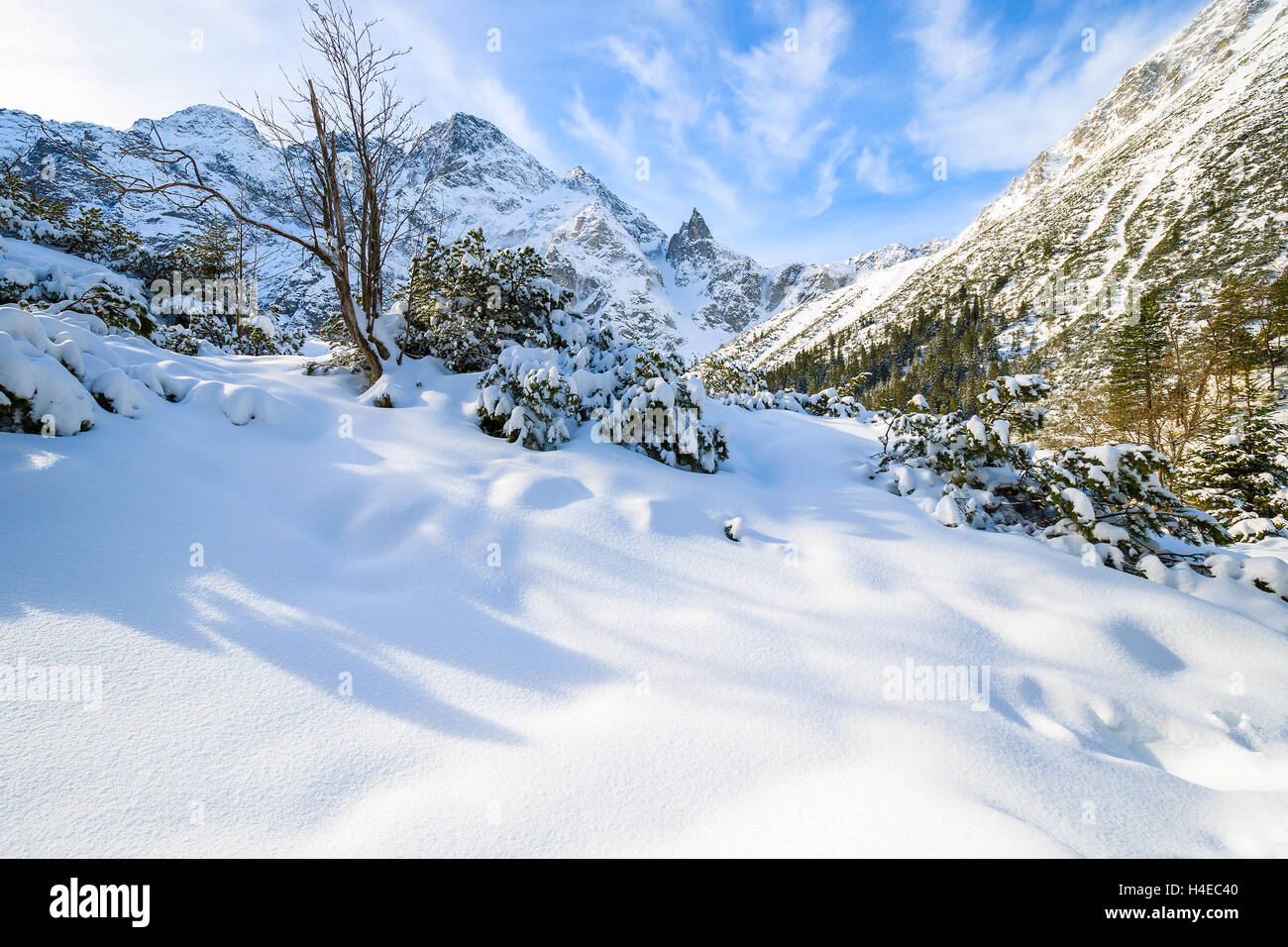 Nevicata fresca vicino congelati Morskie Oko lago in inverno, Monti Tatra, Polonia Foto Stock