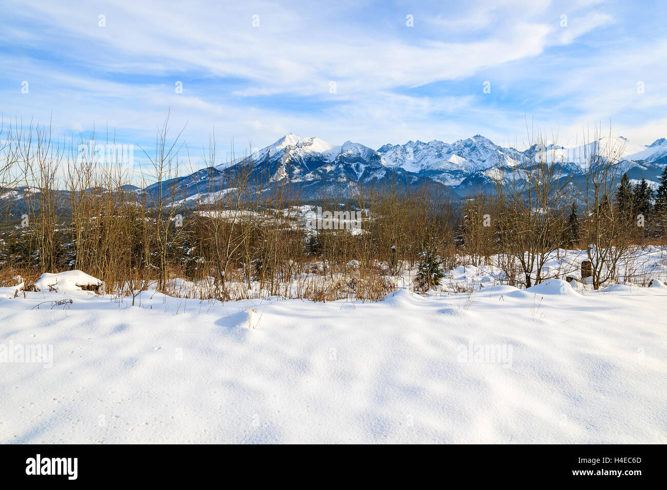 Vista dei monti Tatra coperte di neve nei pressi di Bukowina Tatrzankska, Polonia Foto Stock