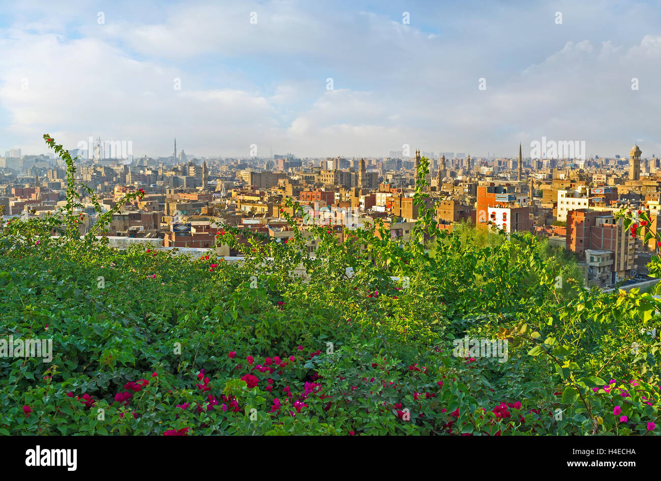 Il modo migliore per scoprire i contrasti del Cairo è quello di visitare le paradisiache Al-Azhar park e si affacciano le polverose città deserta Foto Stock