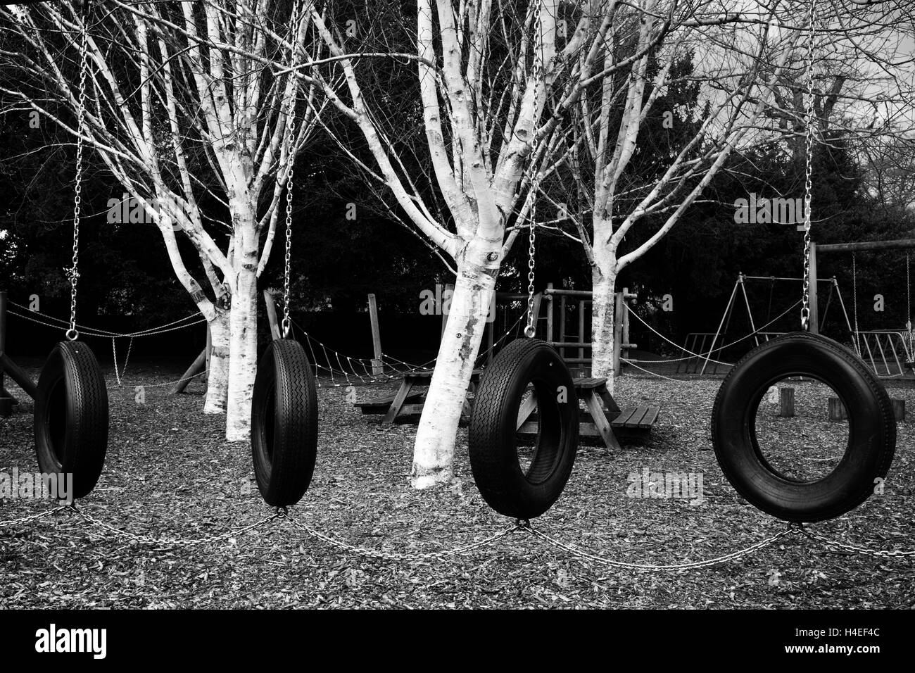 Altalene fatte di pneumatici in un parco giochi. Foto Stock