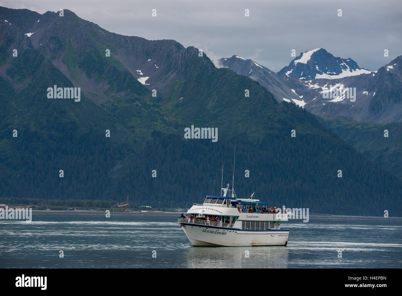 Alaska, Seward. Il Parco nazionale di Kenai Fjords, risurrezione Bay. Kenai Fjords Tours, turistico guardando le lontre marine. Foto Stock