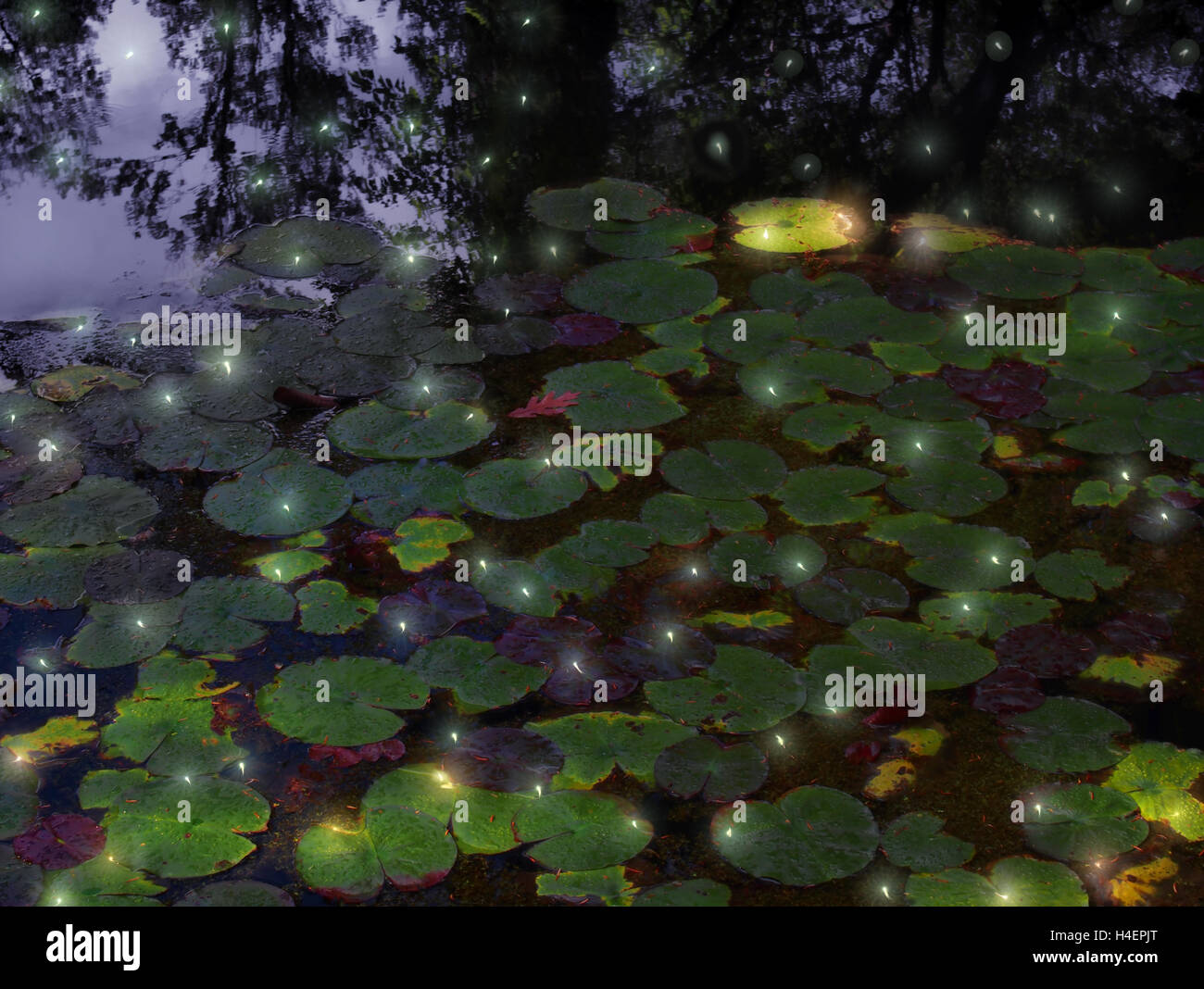 Le lucciole e lily pods su una notte estiva Foto Stock