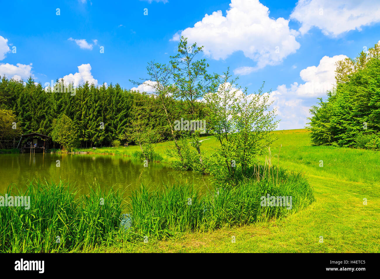Un piccolo lago nel bellissimo paesaggio estivo, Austria Foto Stock