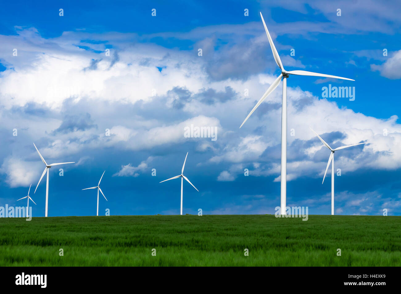 Windturbines in un campo verde generano energia sostenibile Foto Stock