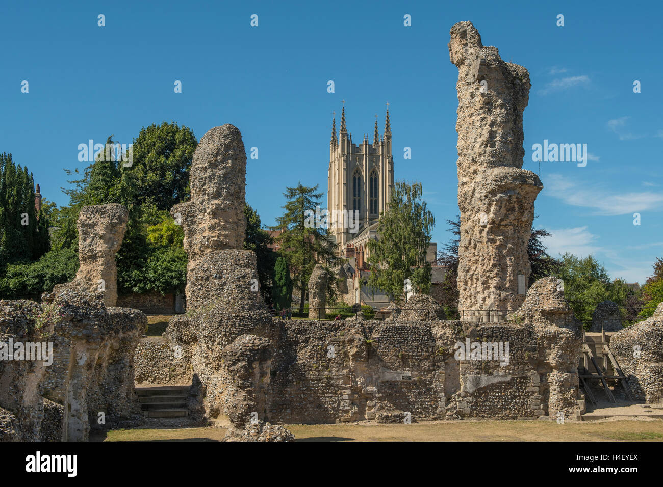 Le rovine dell'abbazia, Bury St Edmunds, Suffolk, Inghilterra Foto Stock