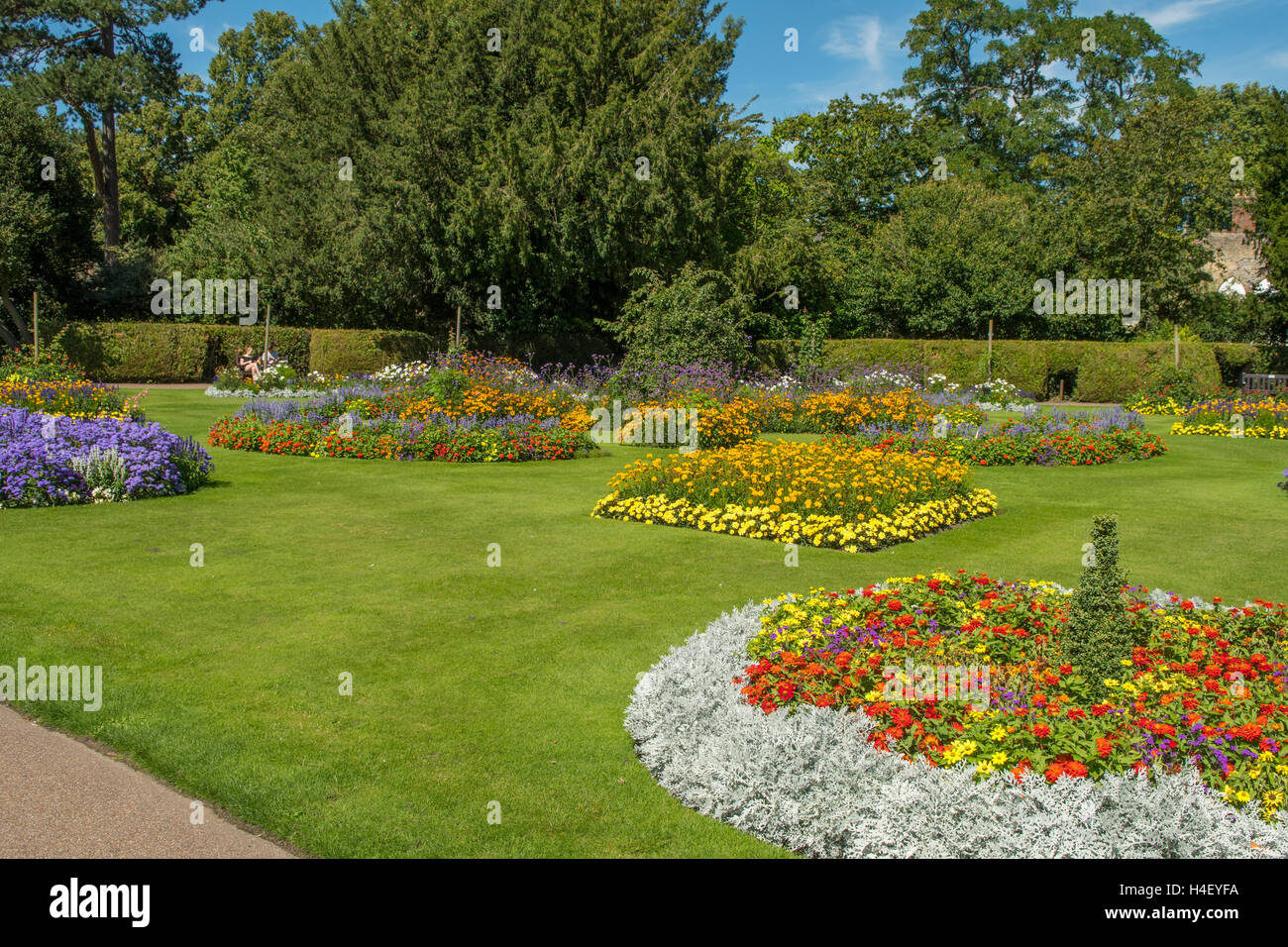 Abbey Gardens, Bury St Edmunds, Suffolk, Inghilterra Foto Stock