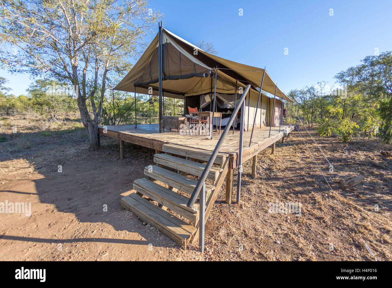 Safari camp e tenda, Manyeleti Game Reserve, Sud Africa Foto Stock