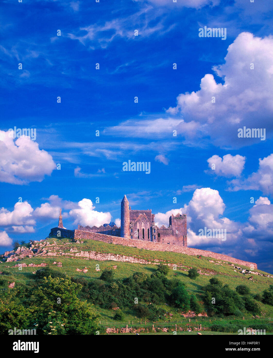 Rocca di Cashel, nella contea di Tipperary, Irlanda Foto Stock