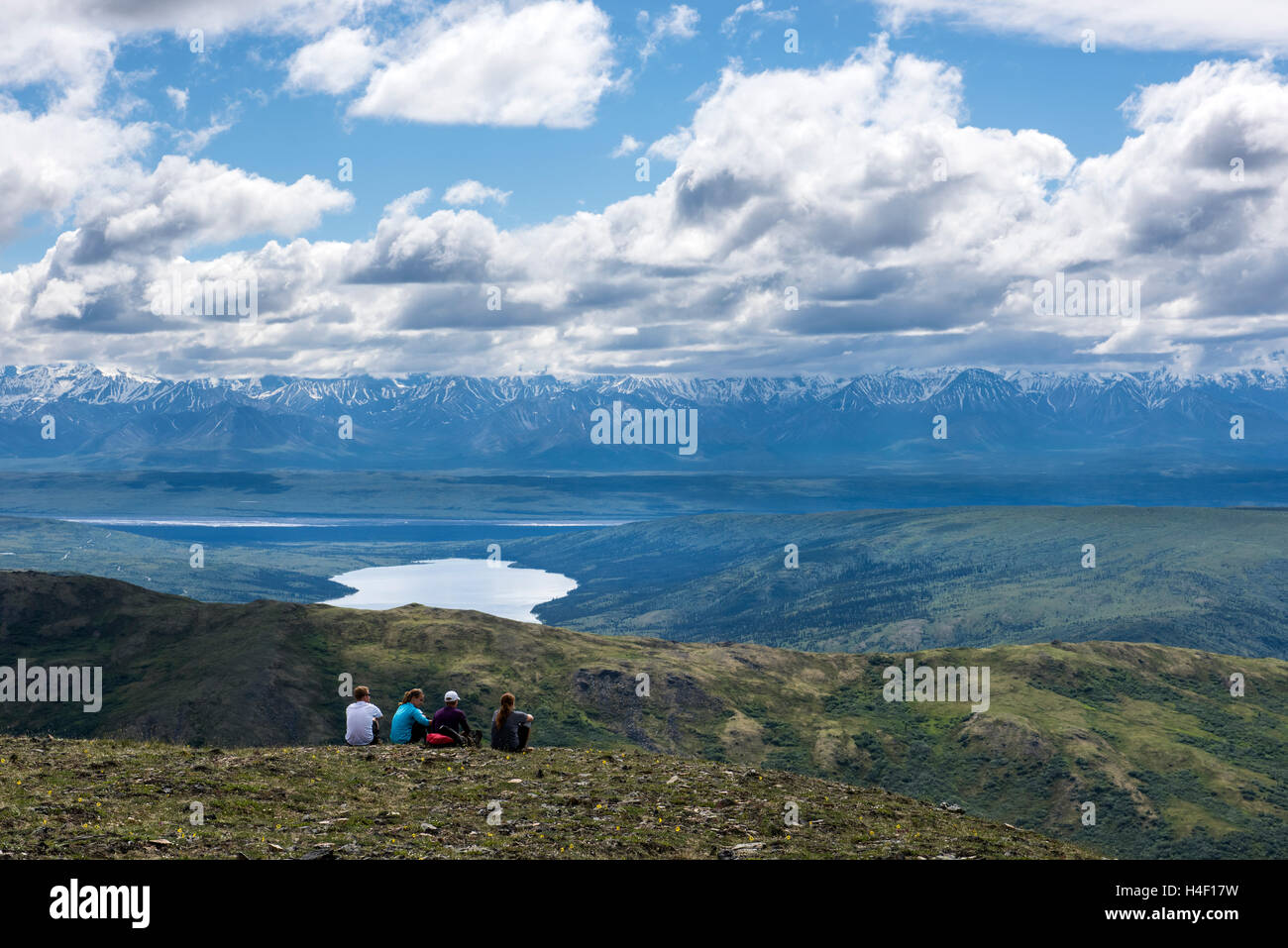 Persone che guardano sul Parco Nazionale di Denali, Alaska Foto Stock